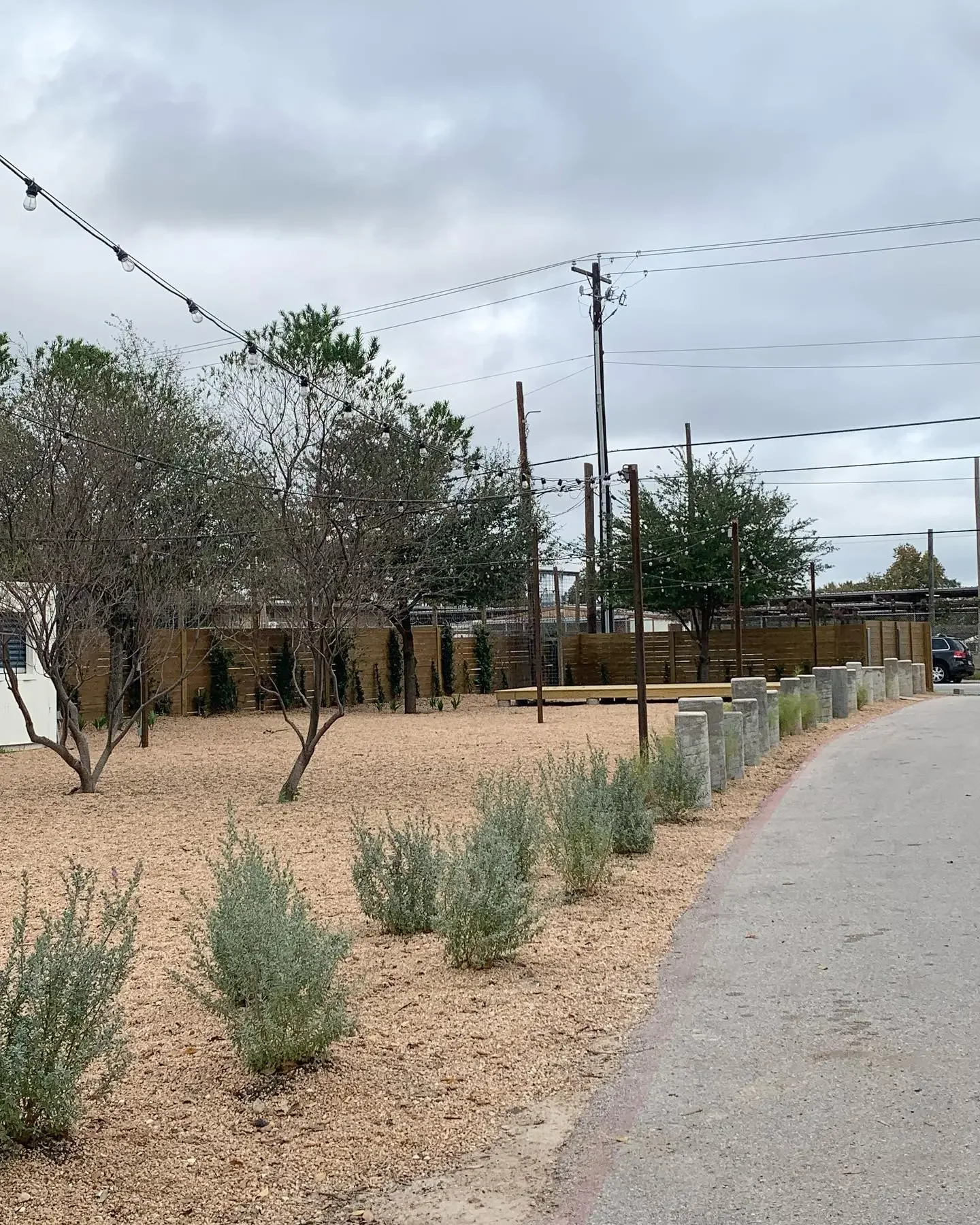 A landscaped outdoor area with small bushes and a few trees, gravel ground, a gravel footpath, a wooden fence, utility poles, and string lights overhead, under a cloudy sky.