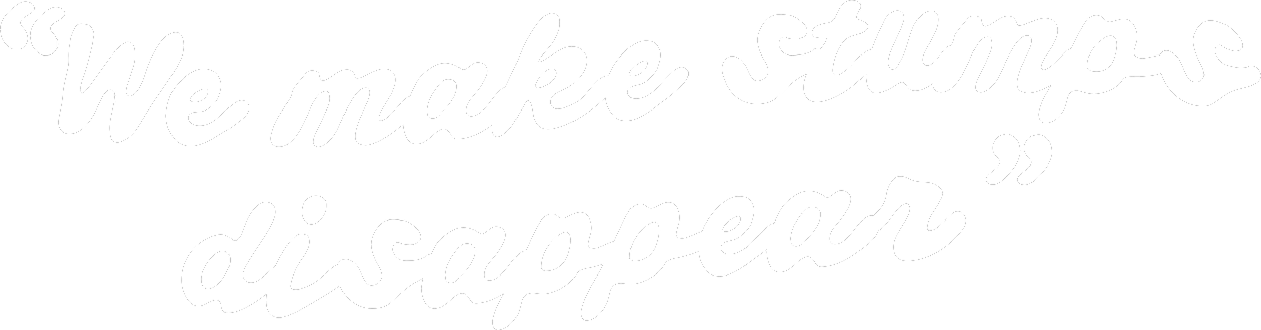 White handwritten style text on black background that says "We make stumps disappear".
