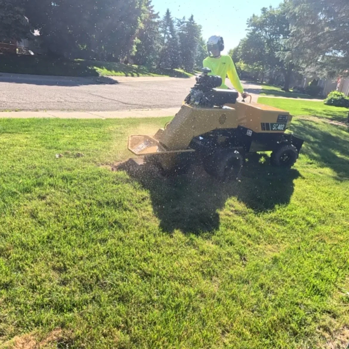Professional Stump Grinder operating stump grinding machine