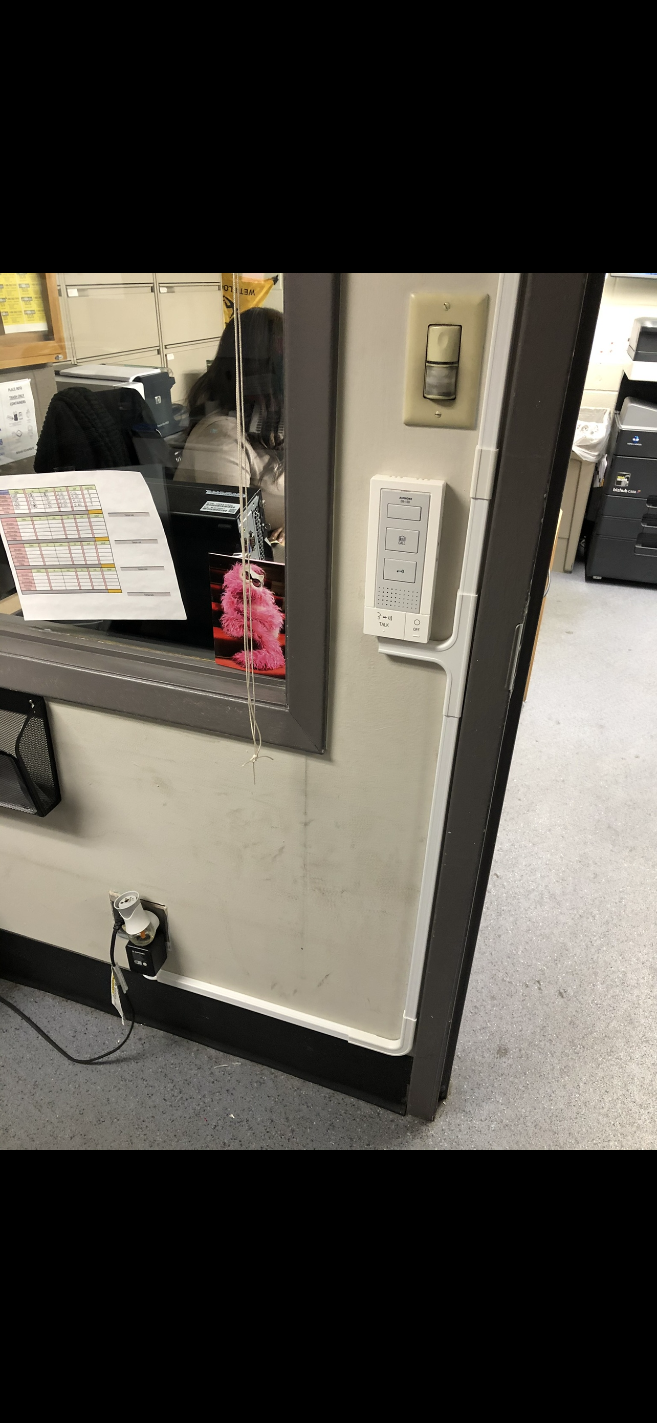Office reception area viewed through a window with a glass pane. Inside, a woman with dark hair is working at a desk. On the desk, there's a computer, papers, and a pink furry puppet or decoration. The wall near the window has various switches and a 
