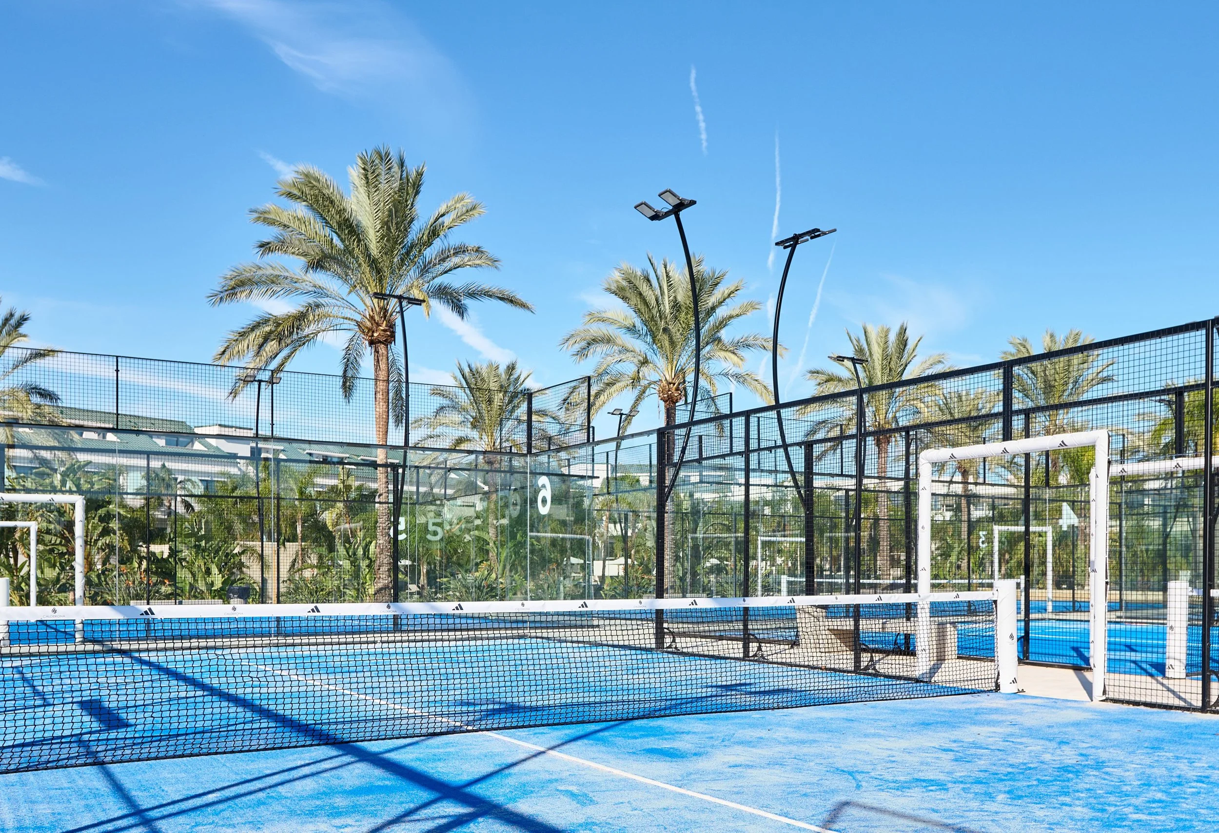 An outdoor padel court surrounded by palm trees under a clear blue sky with some contrails.