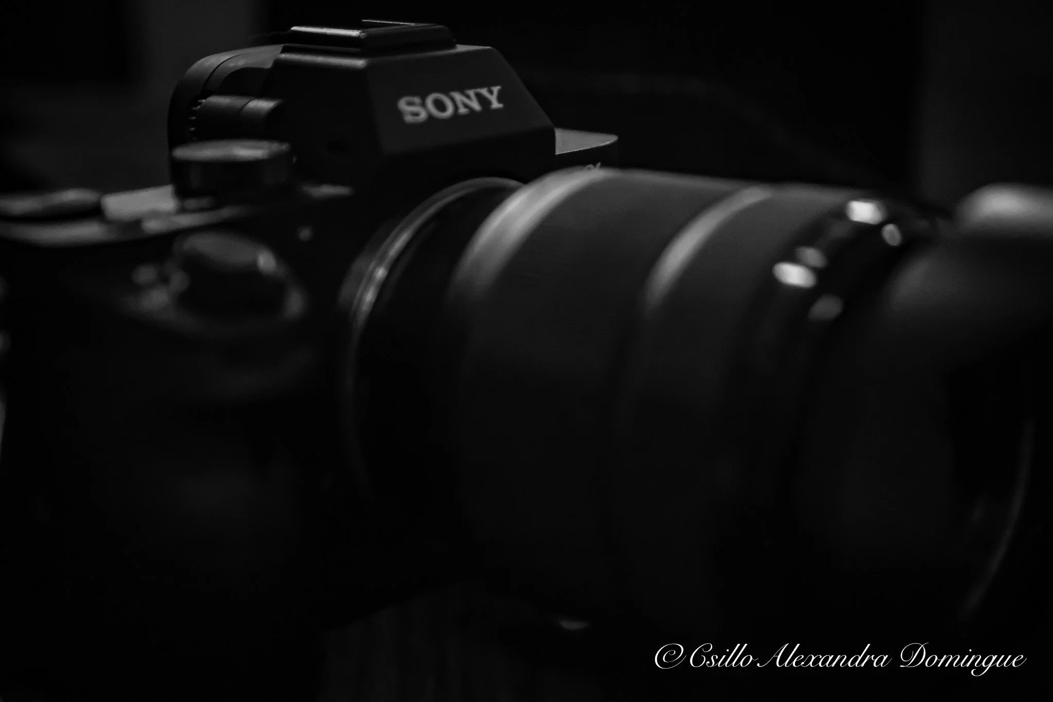 Sony Camera.jpg