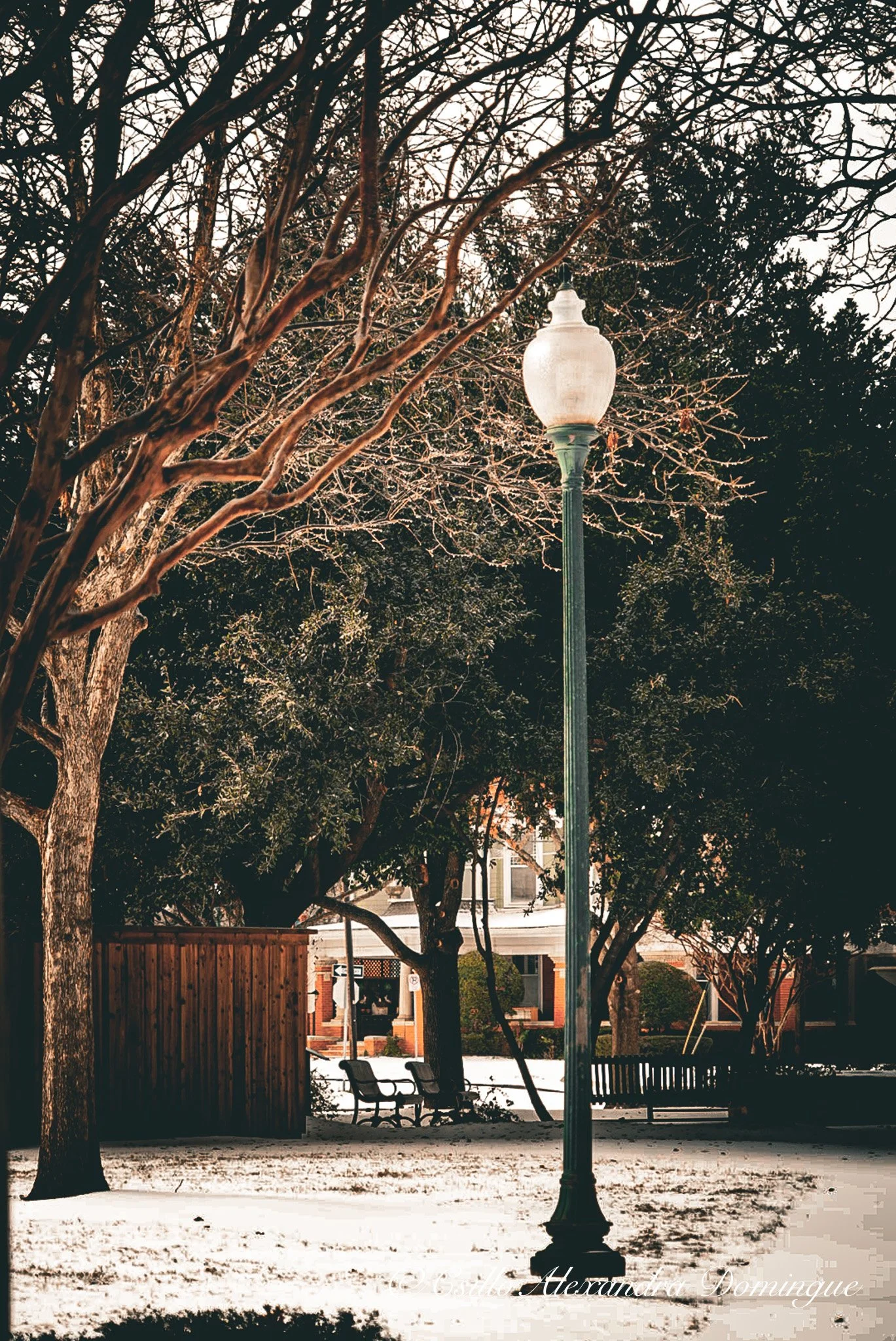 Light Post in the Snow.jpg