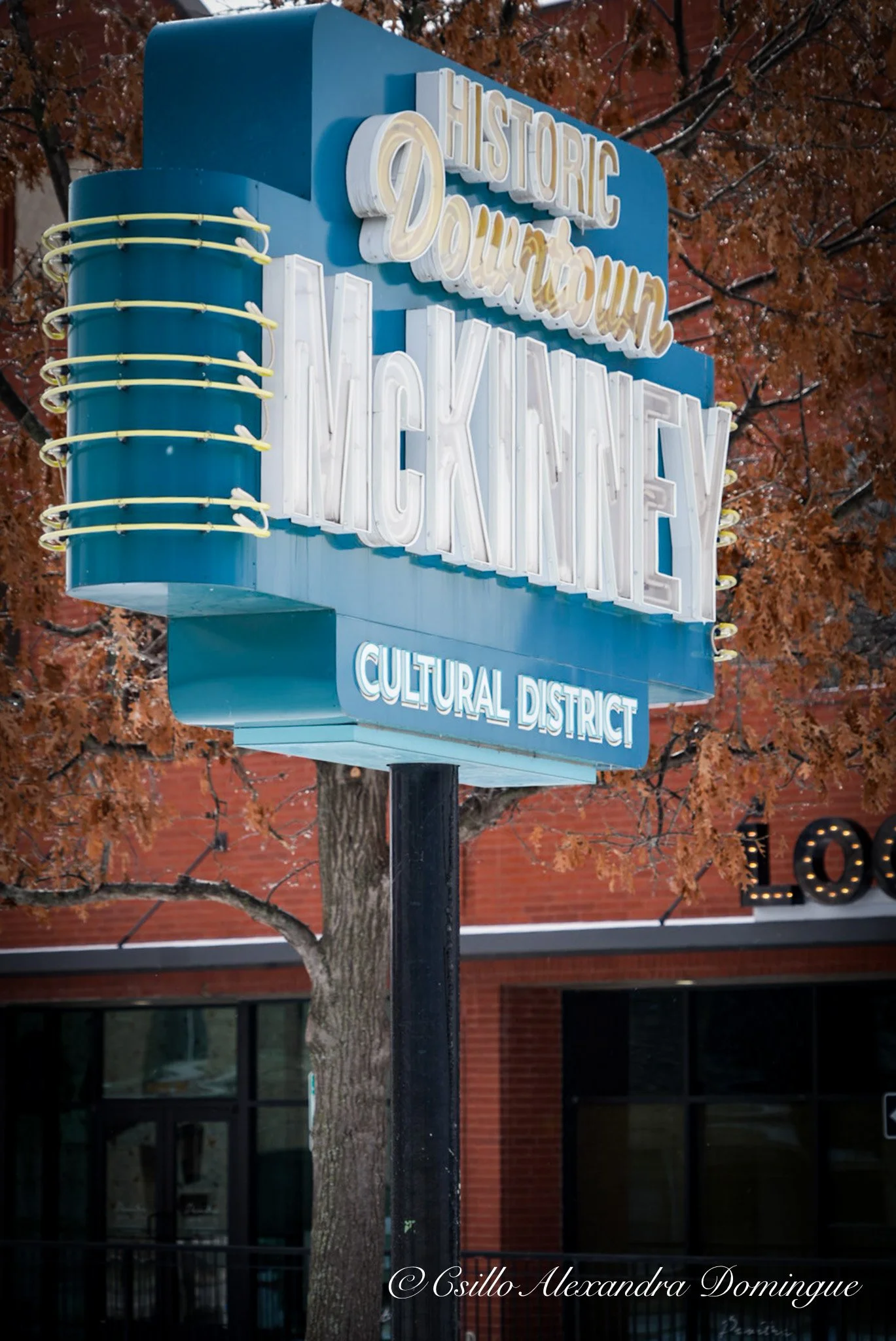 McKinney Texas Sign in Snow.jpg