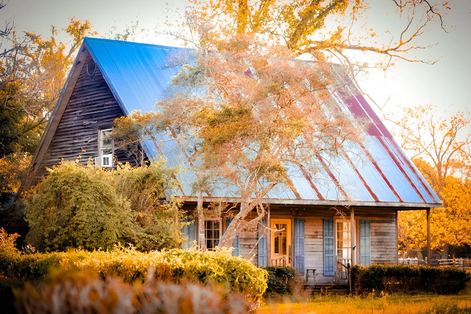 A rustic wooden house with a steep blue metal roof, surrounded by autumn trees with orange and yellow leaves, in warm sunlight.