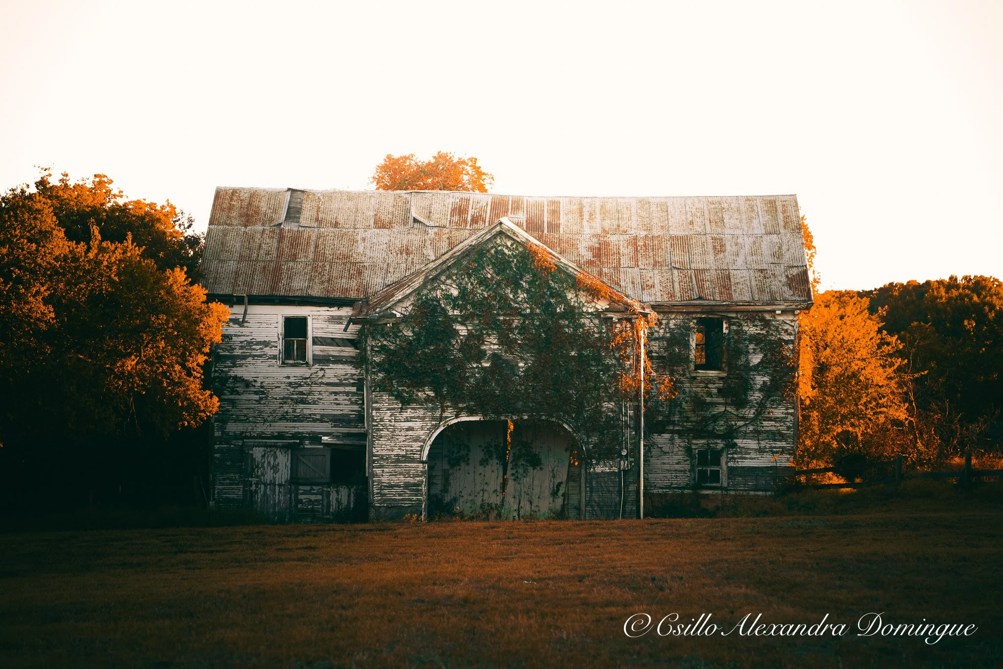 The Barn Fall.jpg