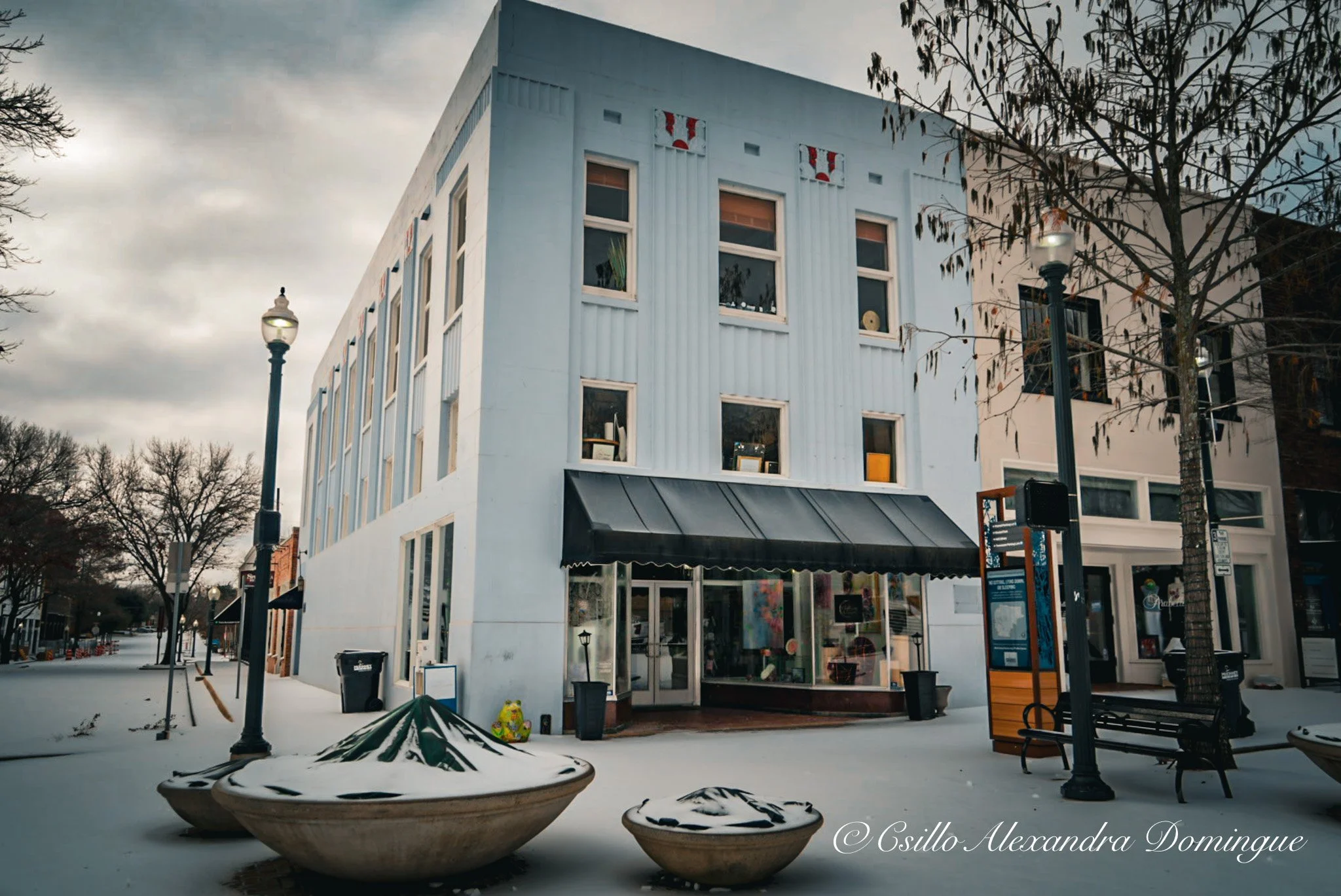 McKinney Art Gallery Snow.jpg