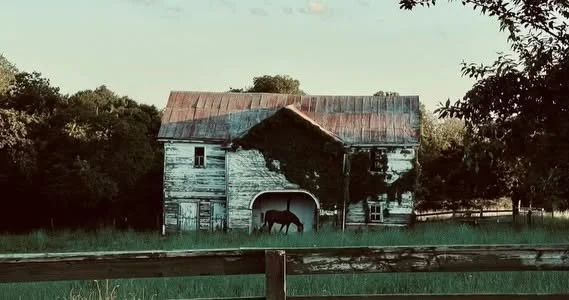 The Barn