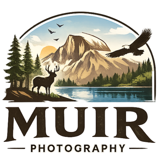Muir Photography
