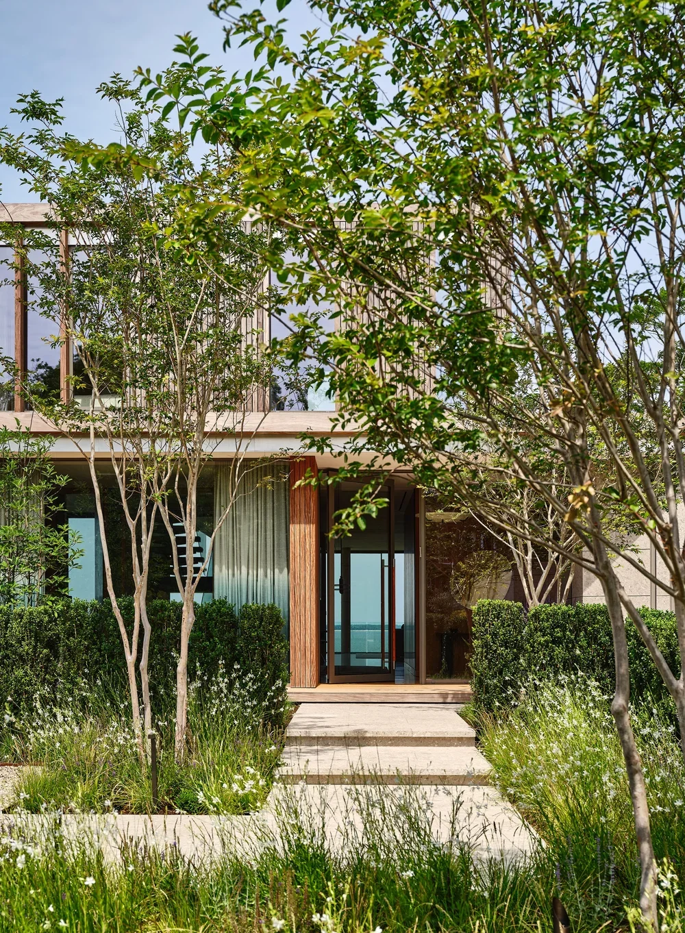 Modern house entrance surrounded by greenery, trees, bushes, and pathway with steps leading to the front door.