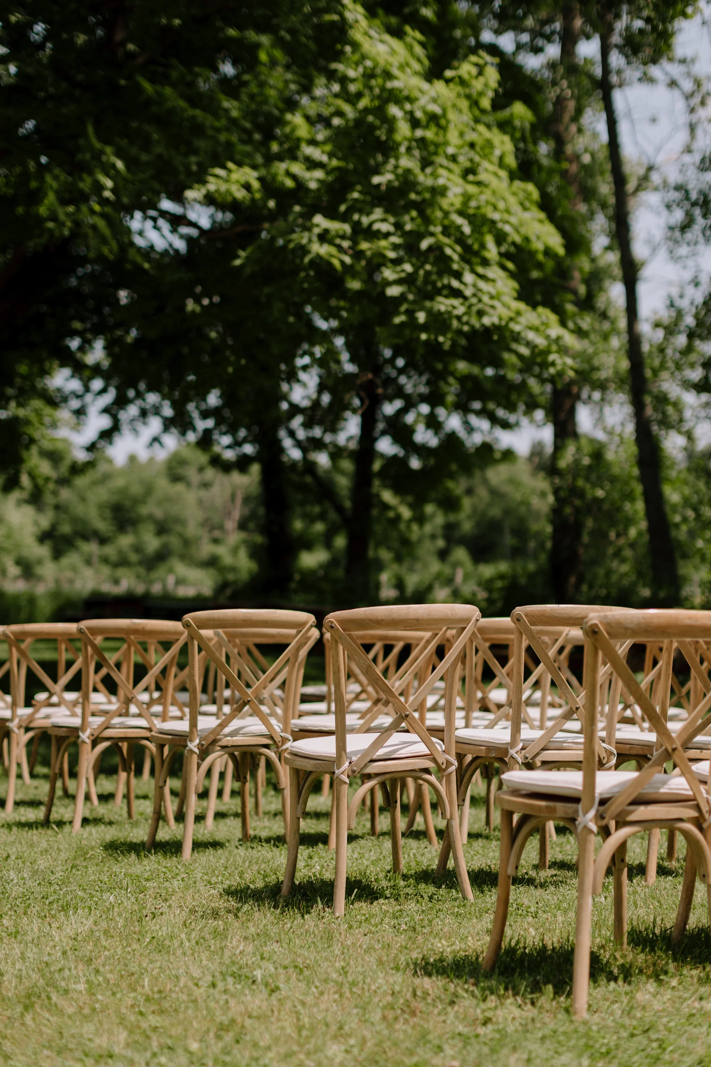 Rows of wooden chairs arranged outdoors on green grass, with a backdrop of tall trees and blue sky.