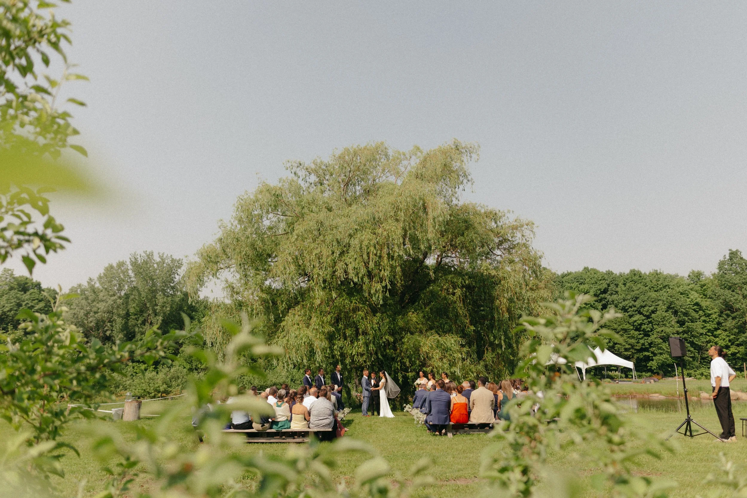 An outdoor wedding ceremony with guests sitting on benches, a couple exchanging vows under a large tree, surrounded by green grass and trees, with a man in a white shirt and black pants standing nearby.