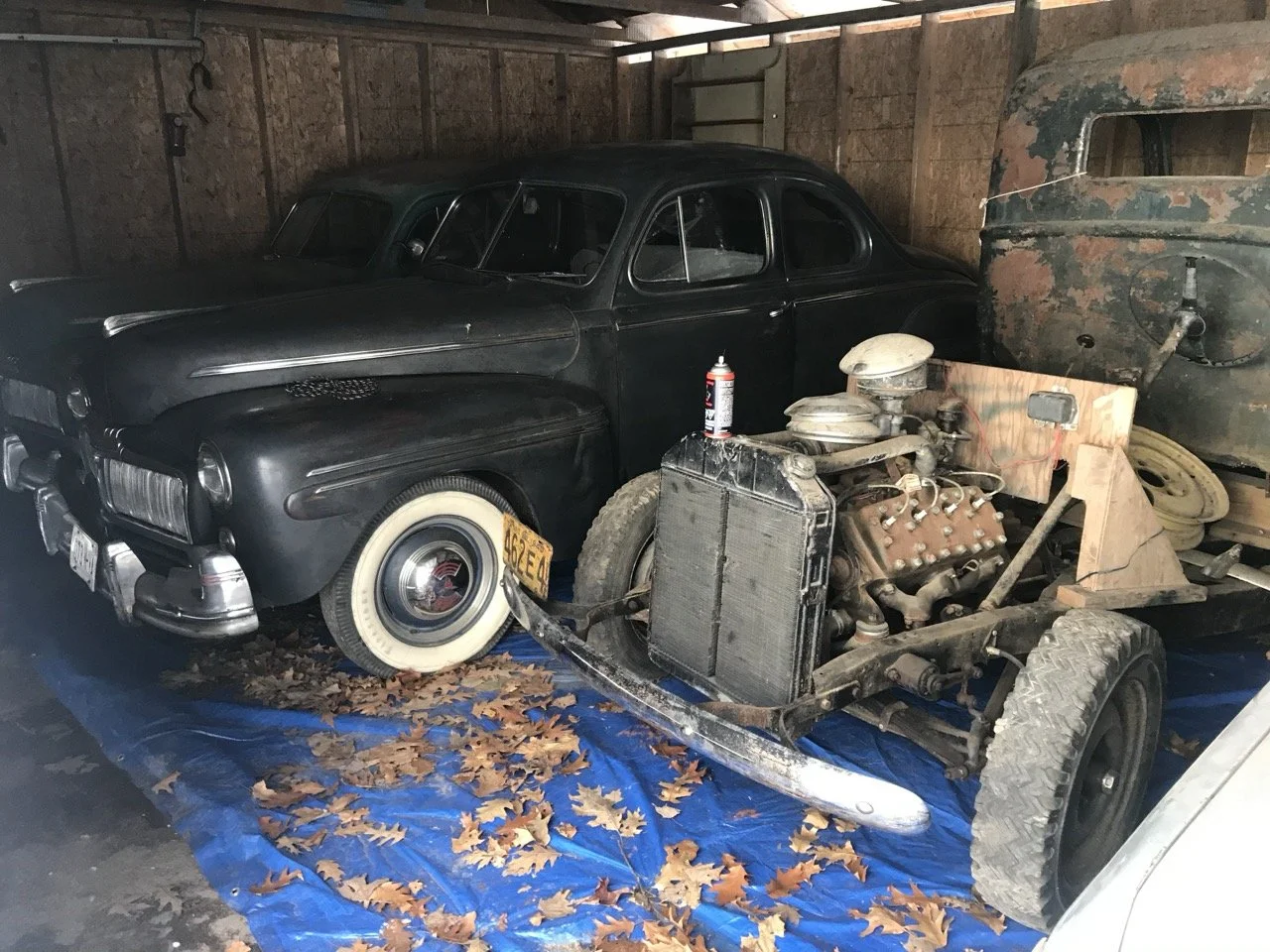 193D73BA-59B5-499B-B1B3-386176C47064 Large.jpeg