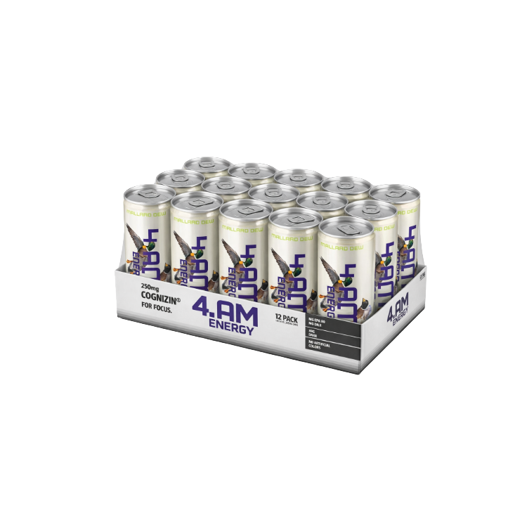 MALLARD MAFIA - 12 PACK