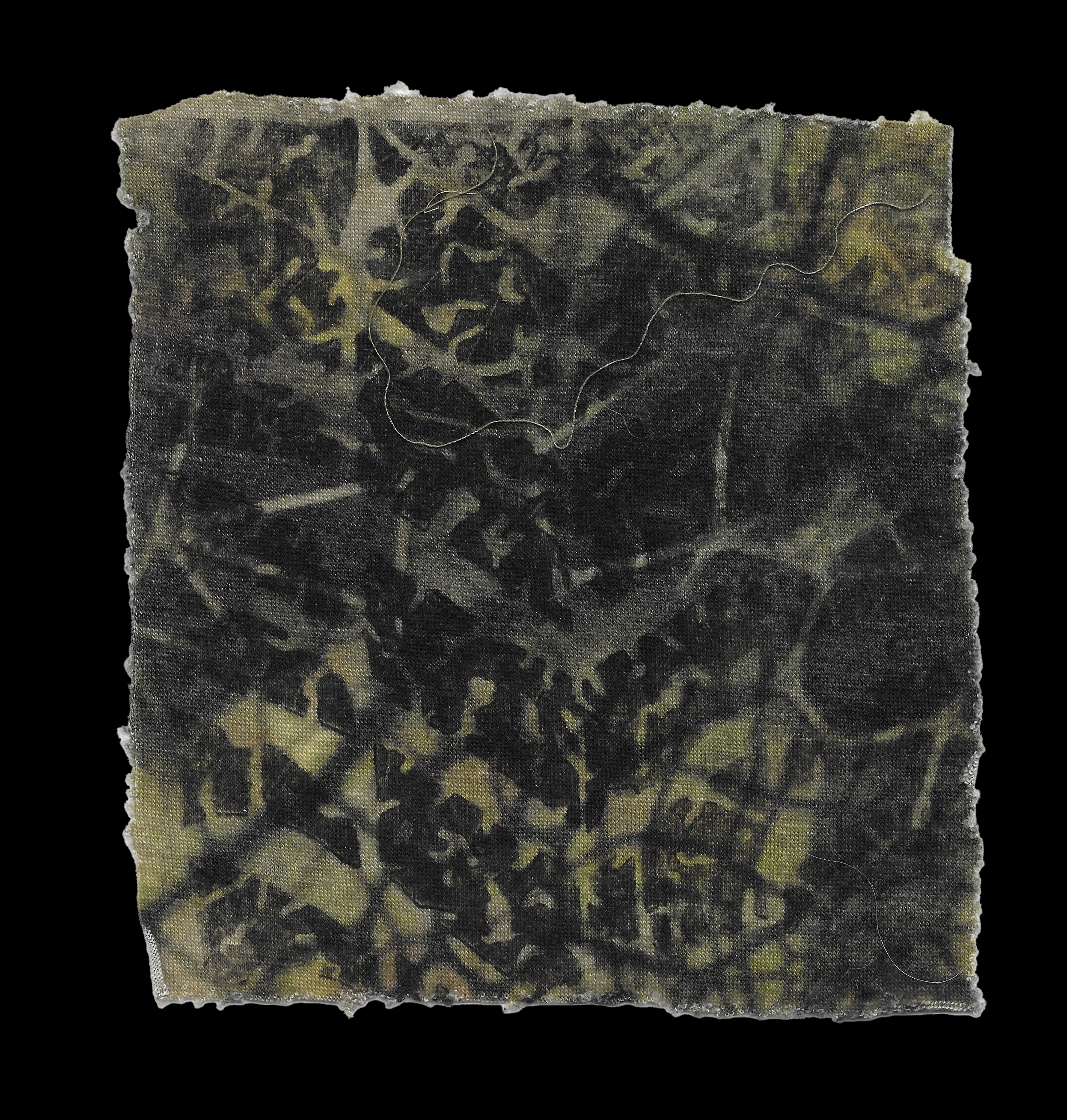 Hidden Mechanical Pathway