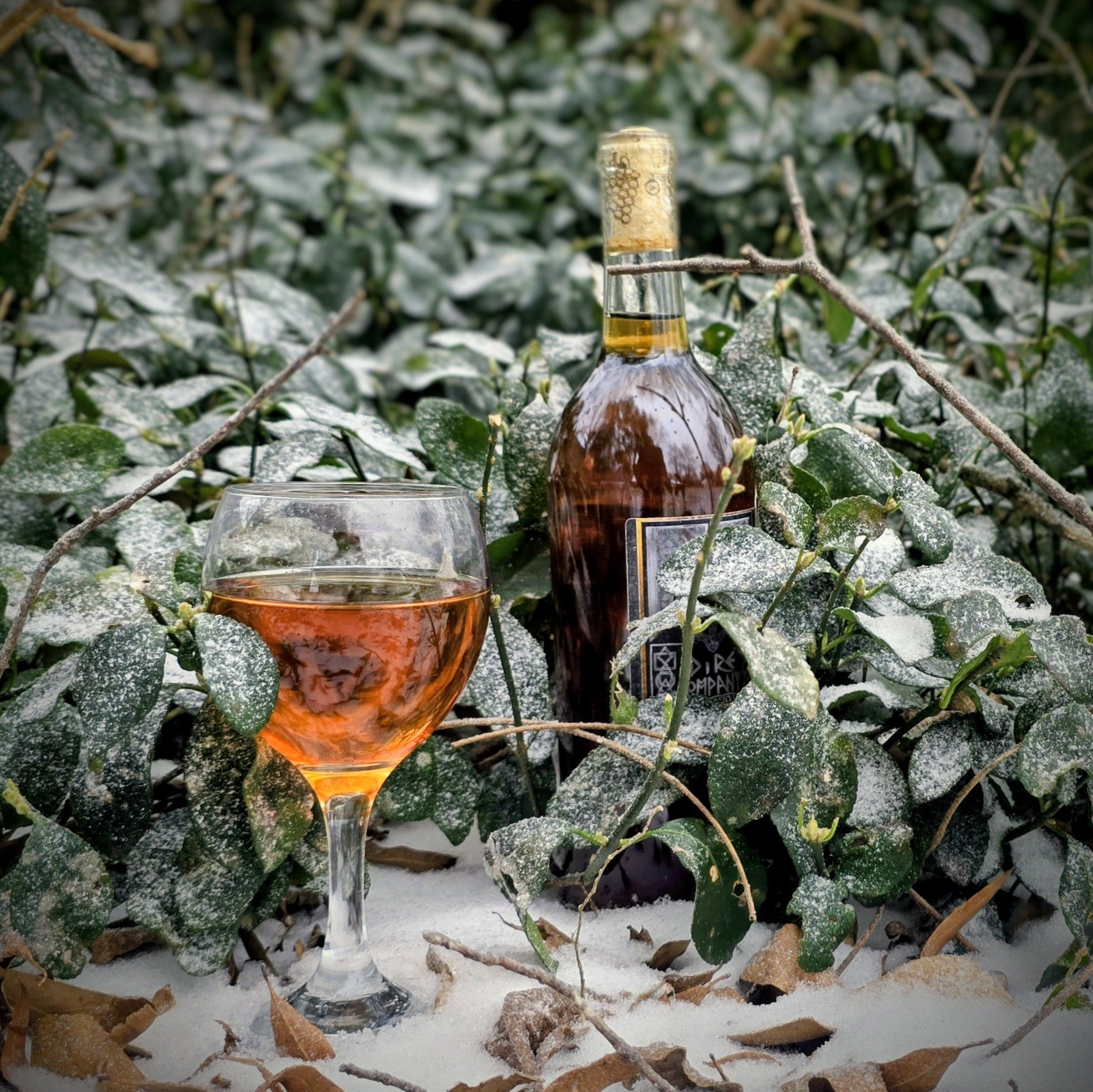Glass of amber mead and a mead bottle placed among snow-covered bushes and fallen leaves in an outdoor setting.