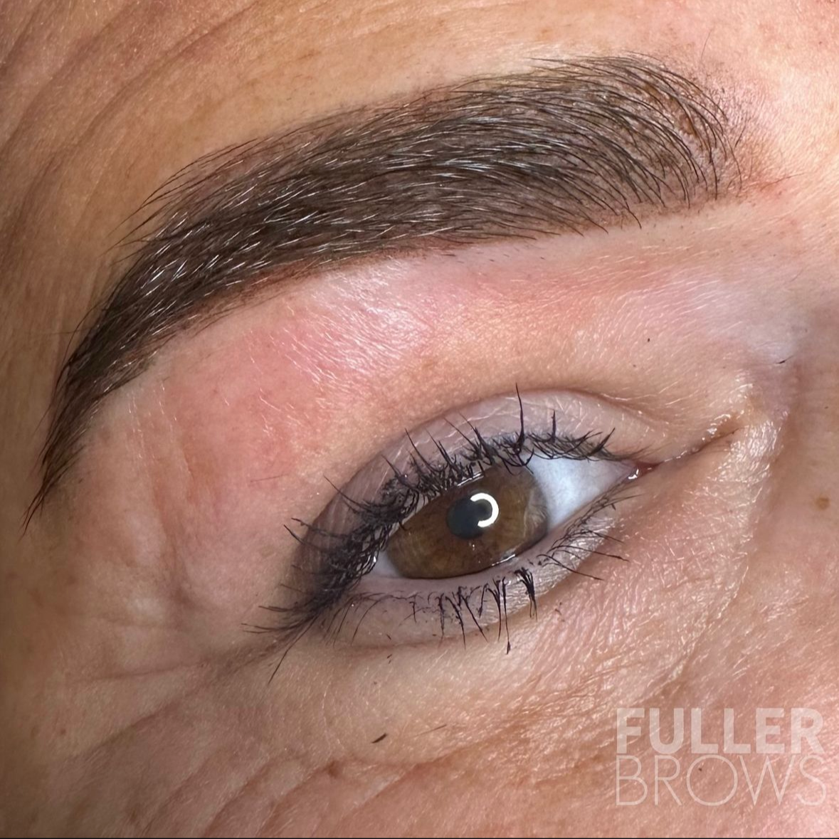 Close-up of a person's eye showing well-groomed eyebrow, long eyelashes, and brown iris, with the text 'Fuller Brows' in the bottom right corner.