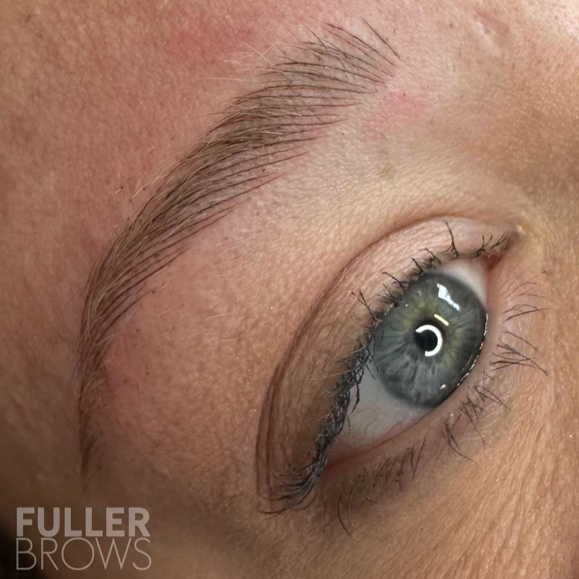 Close-up image of a human eye with grayish-green iris, long eyelashes, and well-groomed eyebrow. Text in the lower left corner reads 'Fuller Brows.'