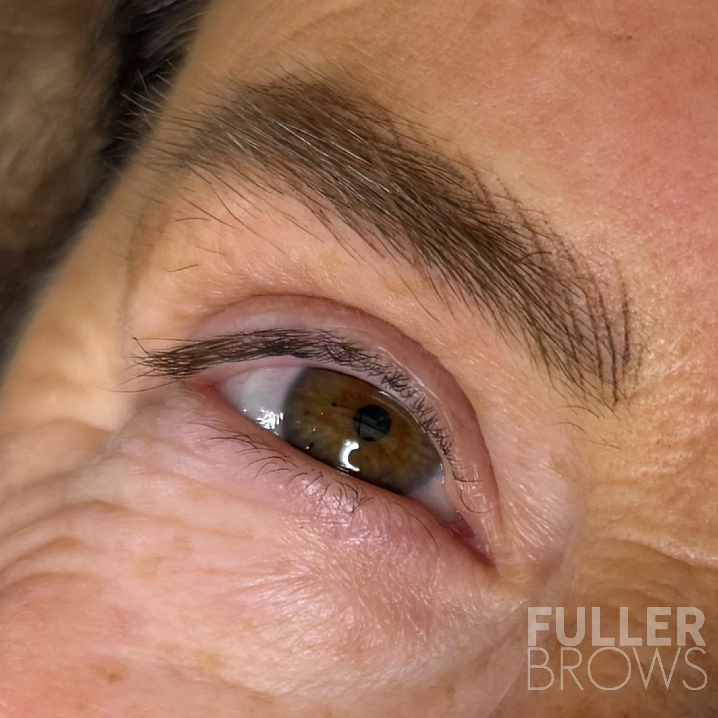 Close-up of a person's brown eye with well-shaped eyebrows and surrounding skin.