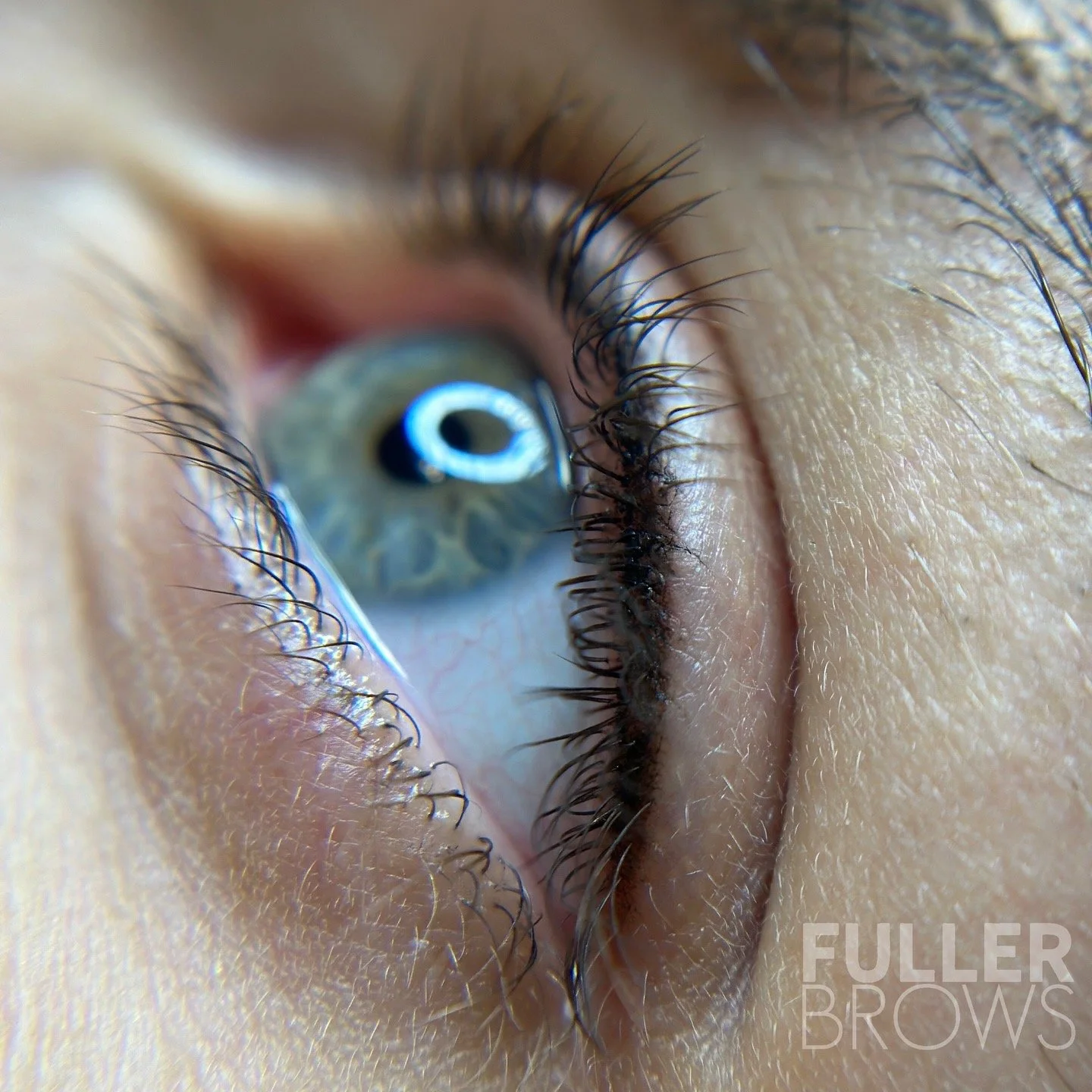 Close-up of a person's eye showcasing detailed eyelashes, blue iris, and reflections in the cornea, with the text 'FULLER BROWS' in the bottom right corner.