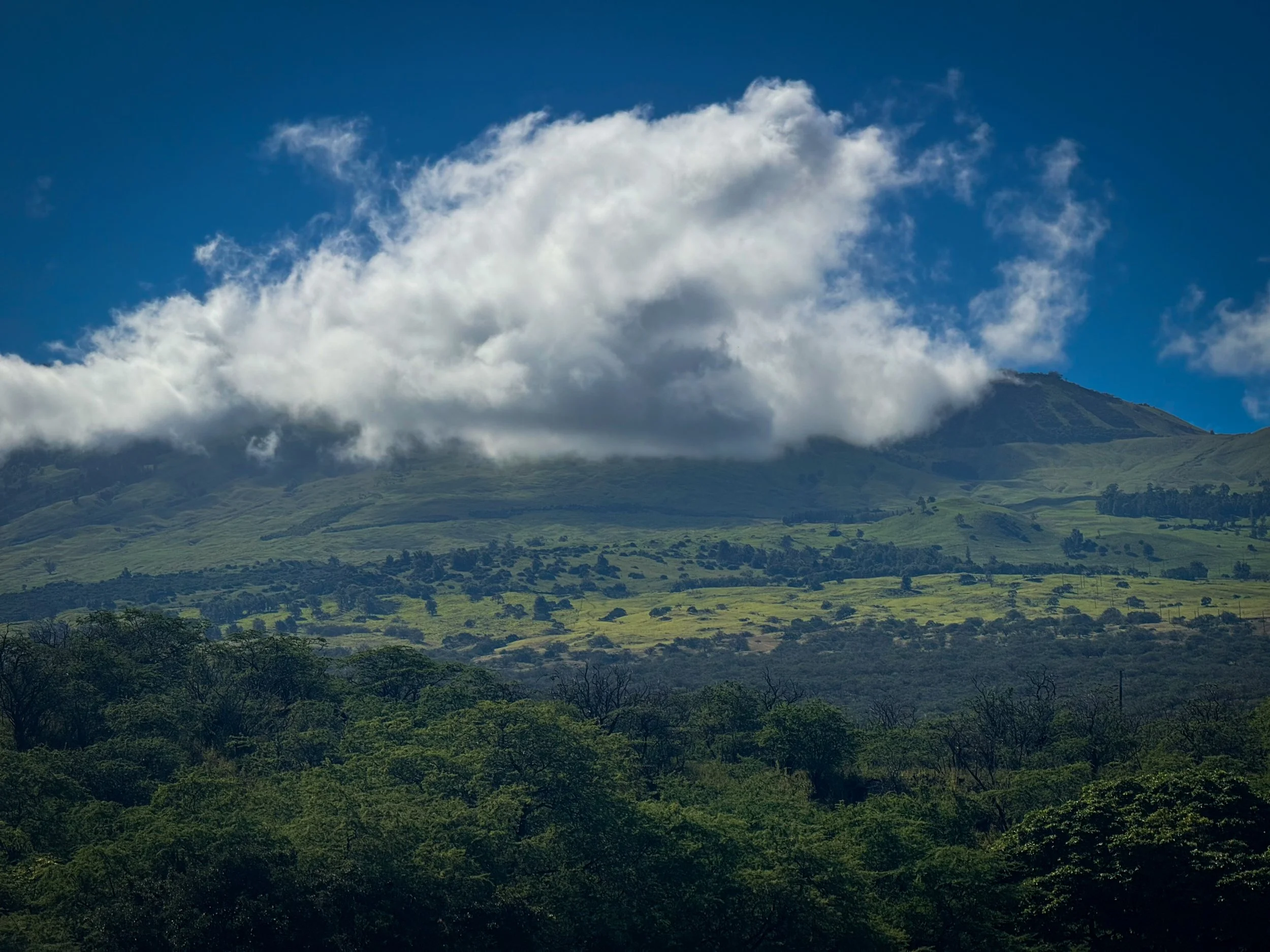 That Special Kind of Cloud