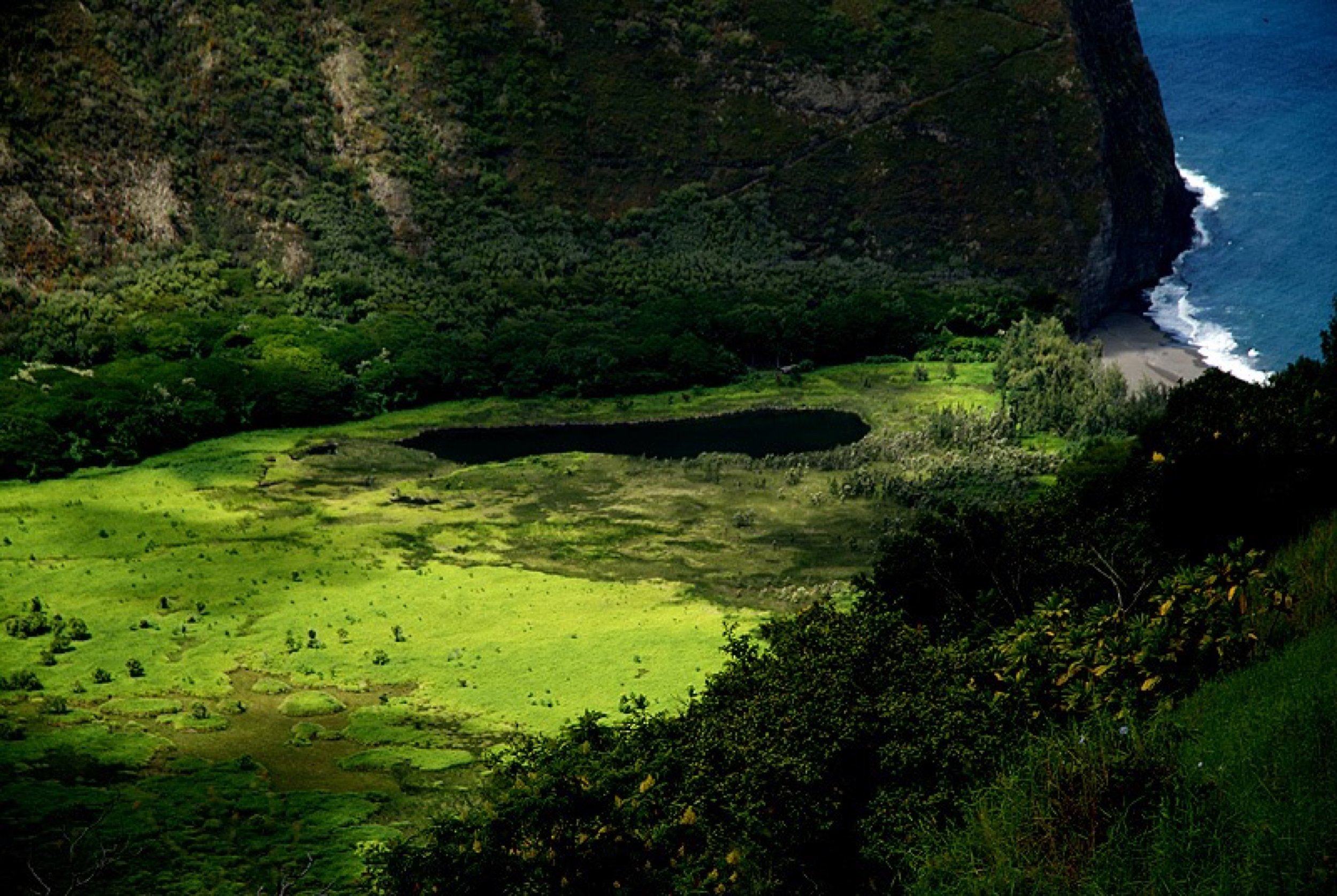 The Waipio Valley