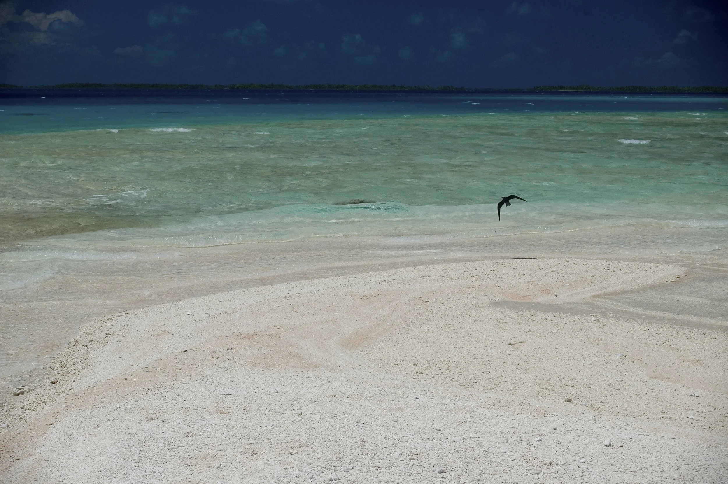 A sandy beach with gentle waves, a calm sea with shades of blue and green, and a single bird flying over the water under a mostly cloudy sky.