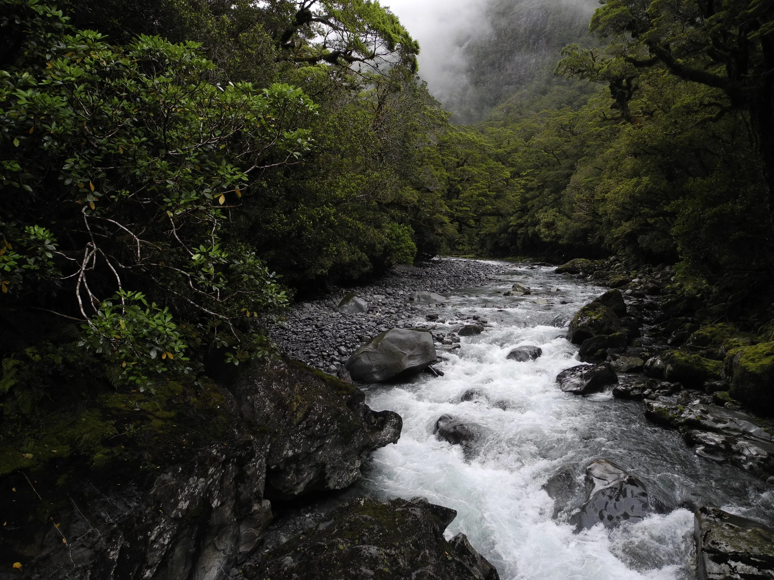 mg-20110104-river-fjordland-national-park-newzealand.jpg