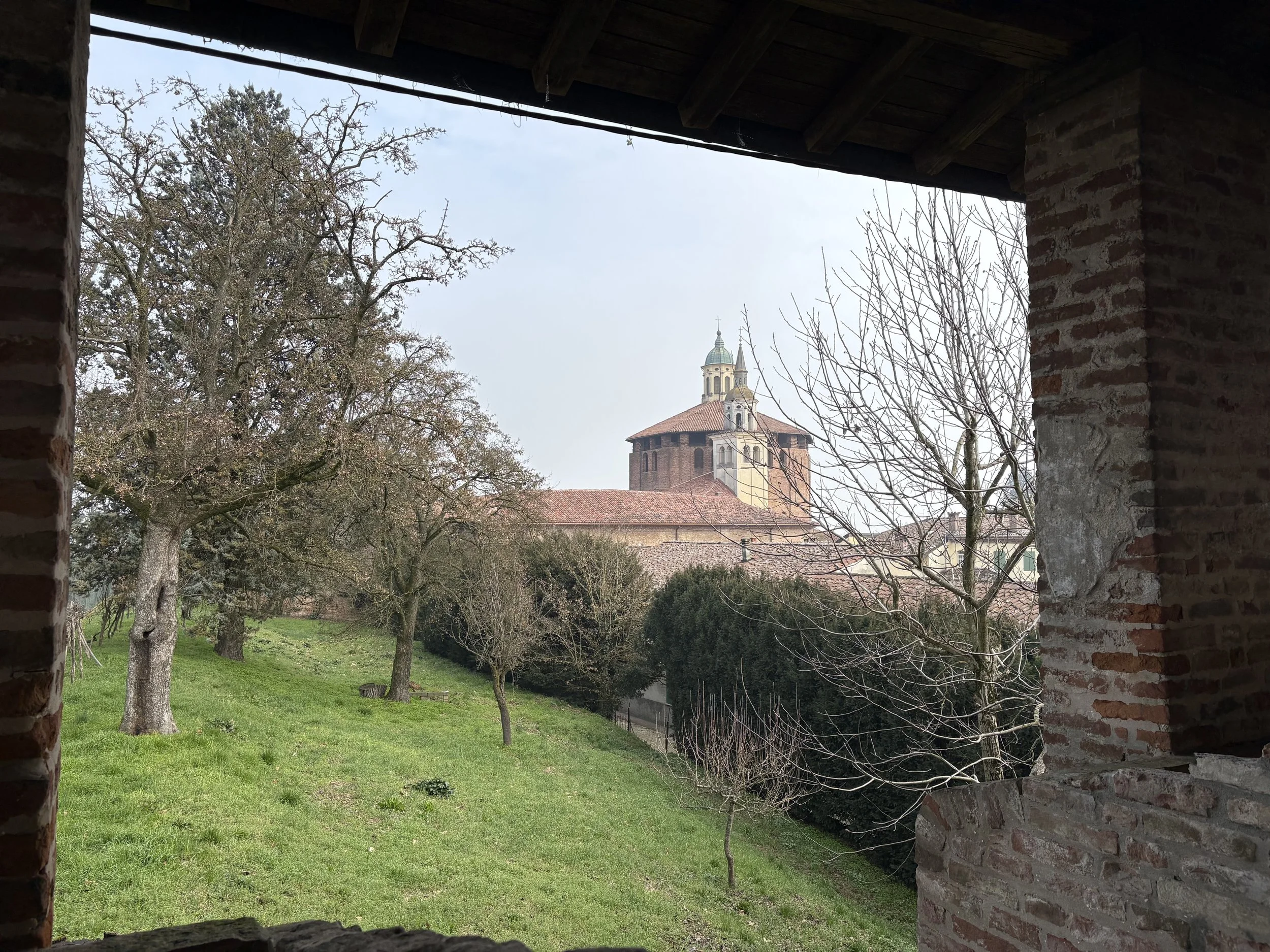 IMG_8919.jpeg