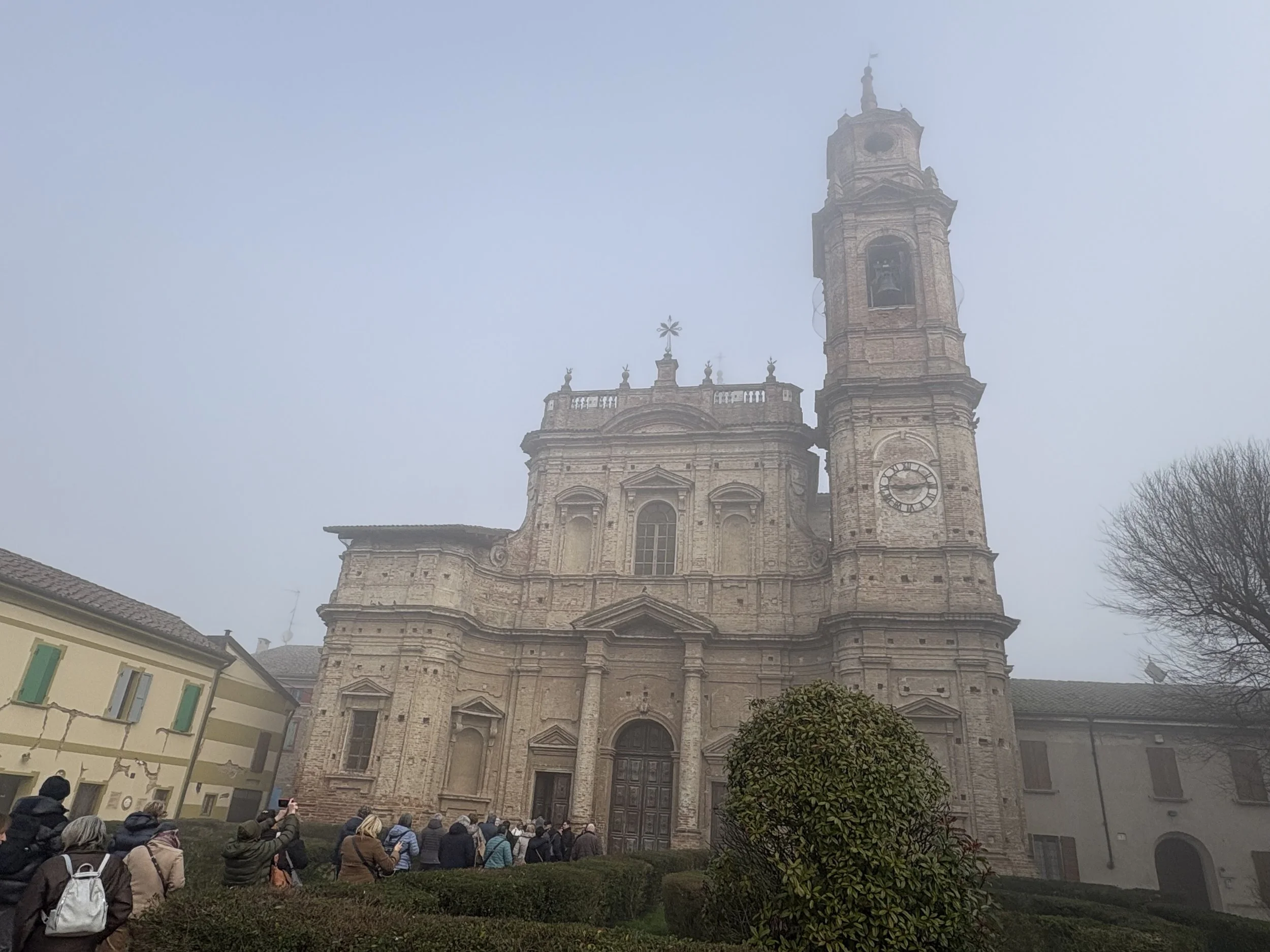 IMG_8823.jpeg