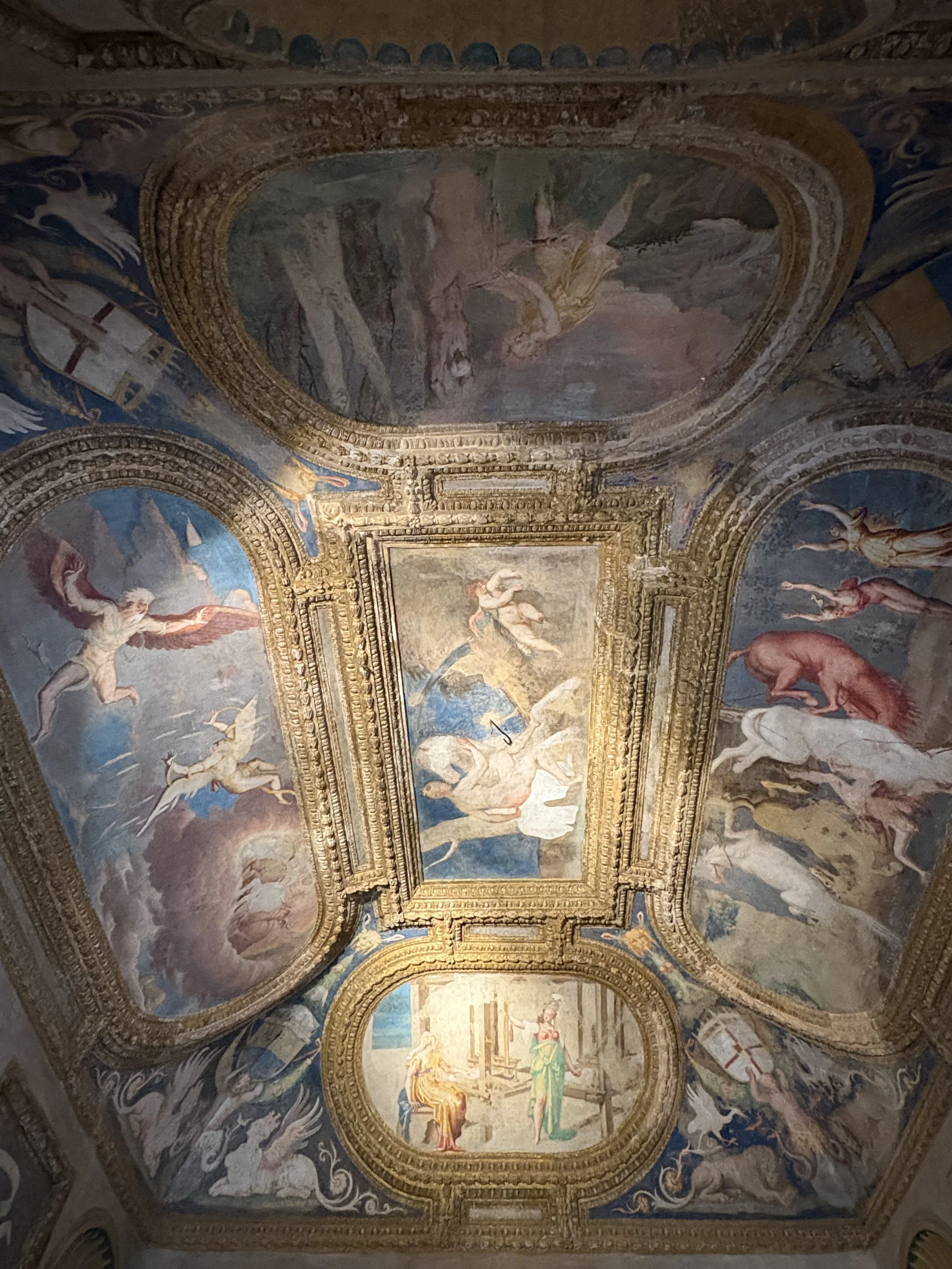 IMG_8957.jpeg