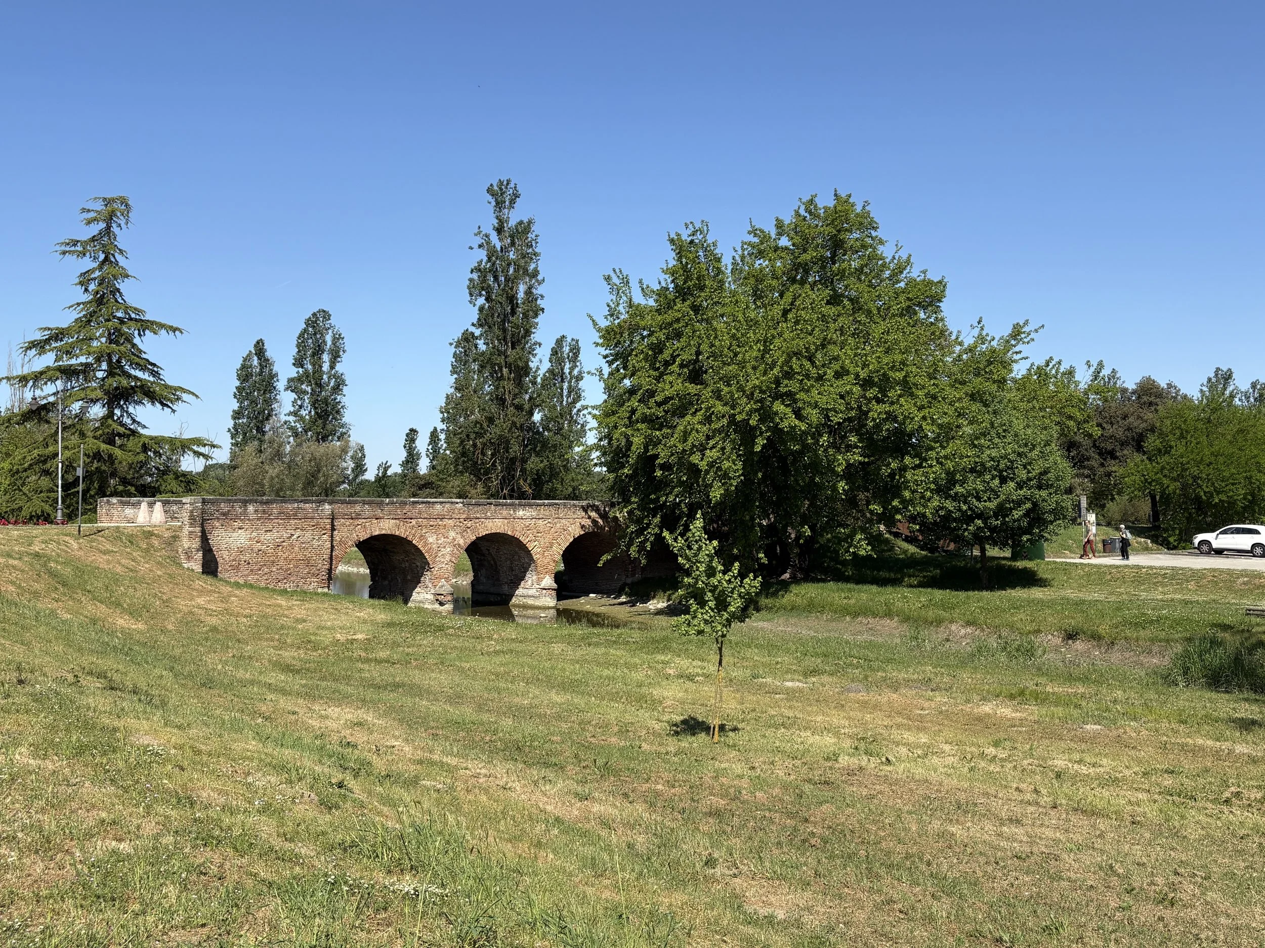 IMG_9225.jpeg