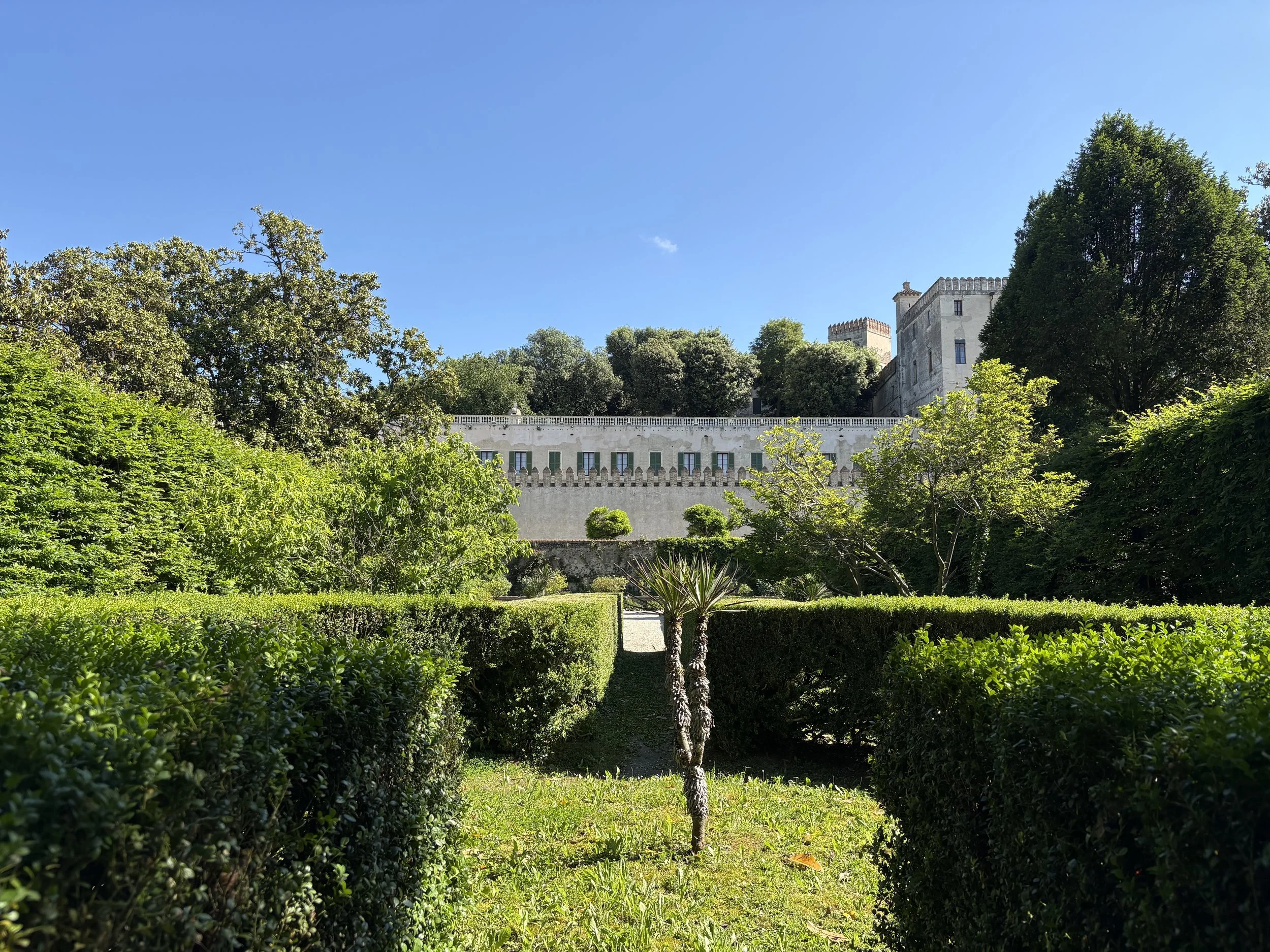 IMG_9504.jpeg