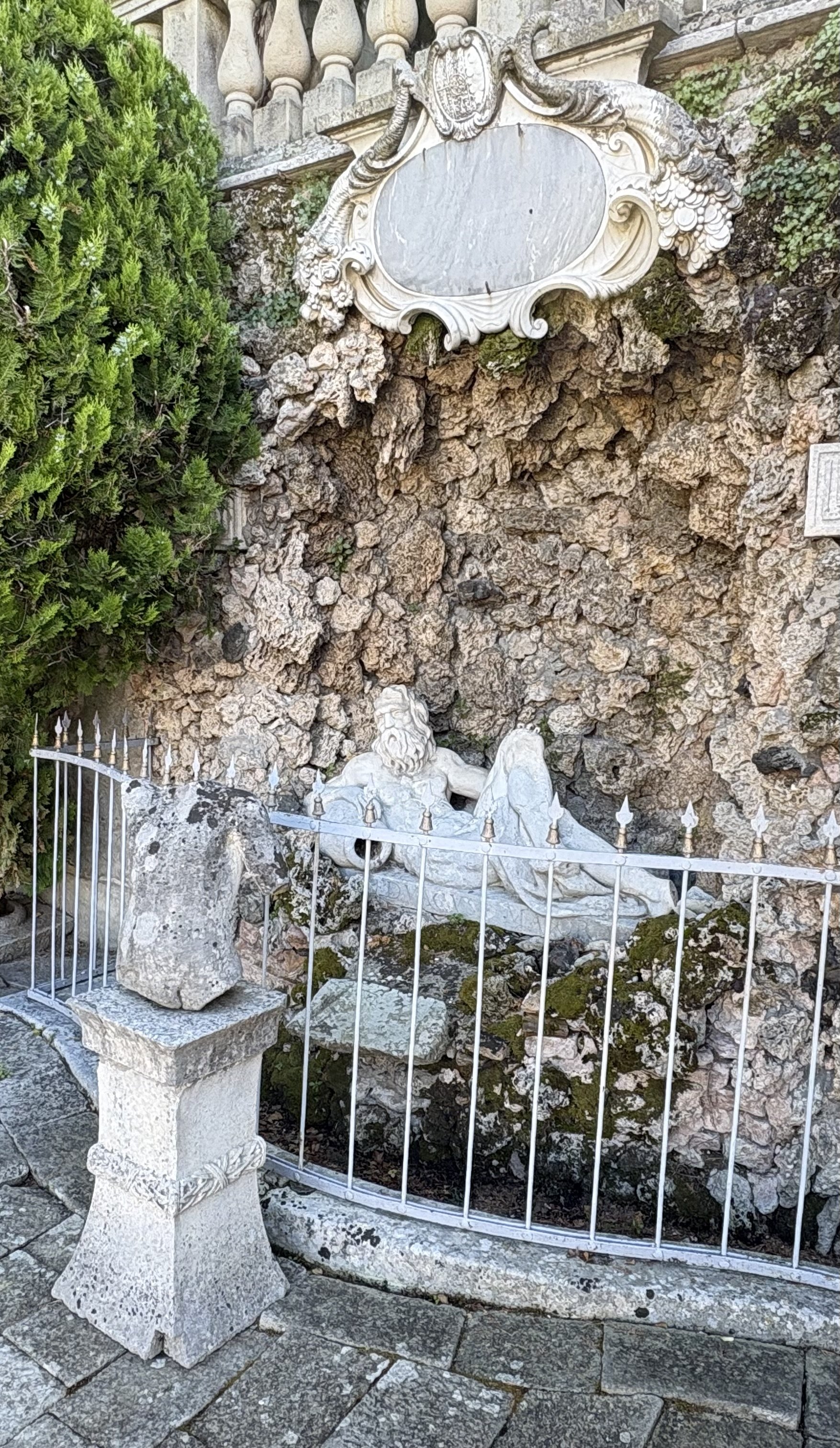 IMG_9510.jpeg