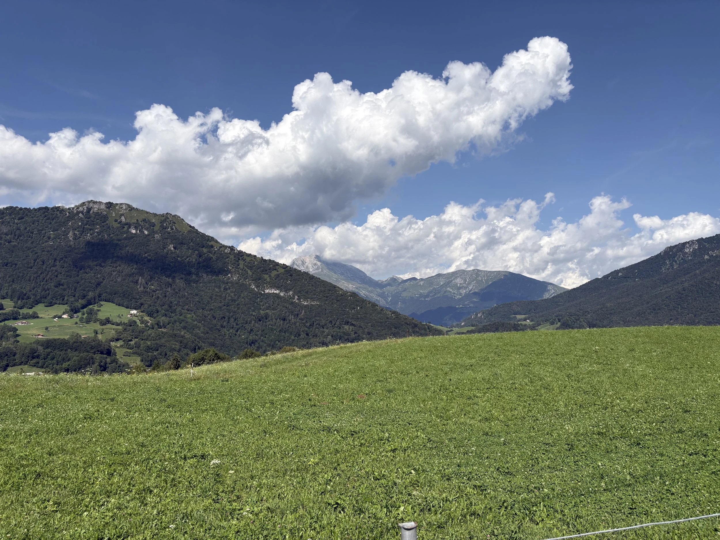 IMG_9653 (1).jpeg