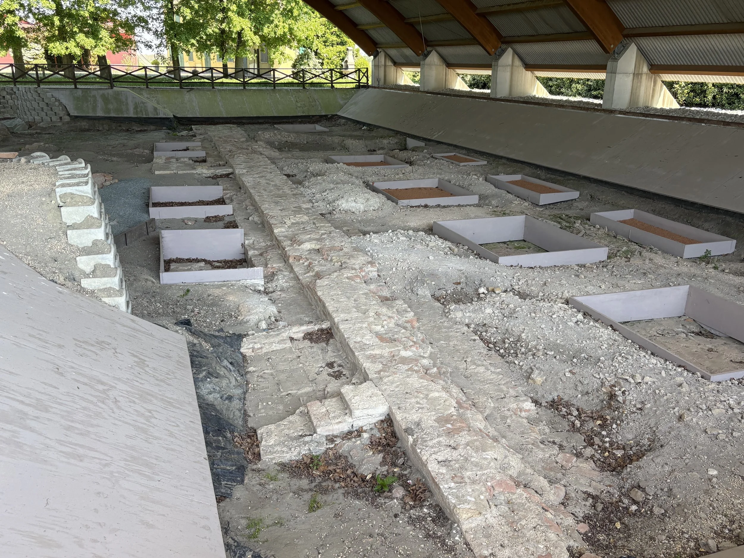 IMG_9128.jpeg