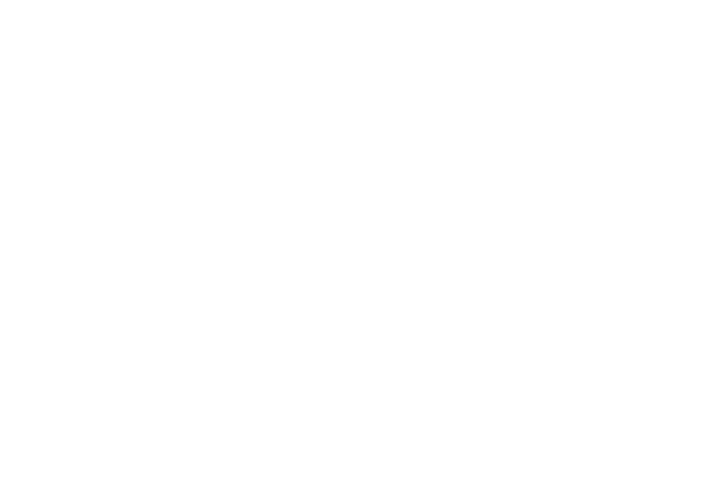 FX network logo
