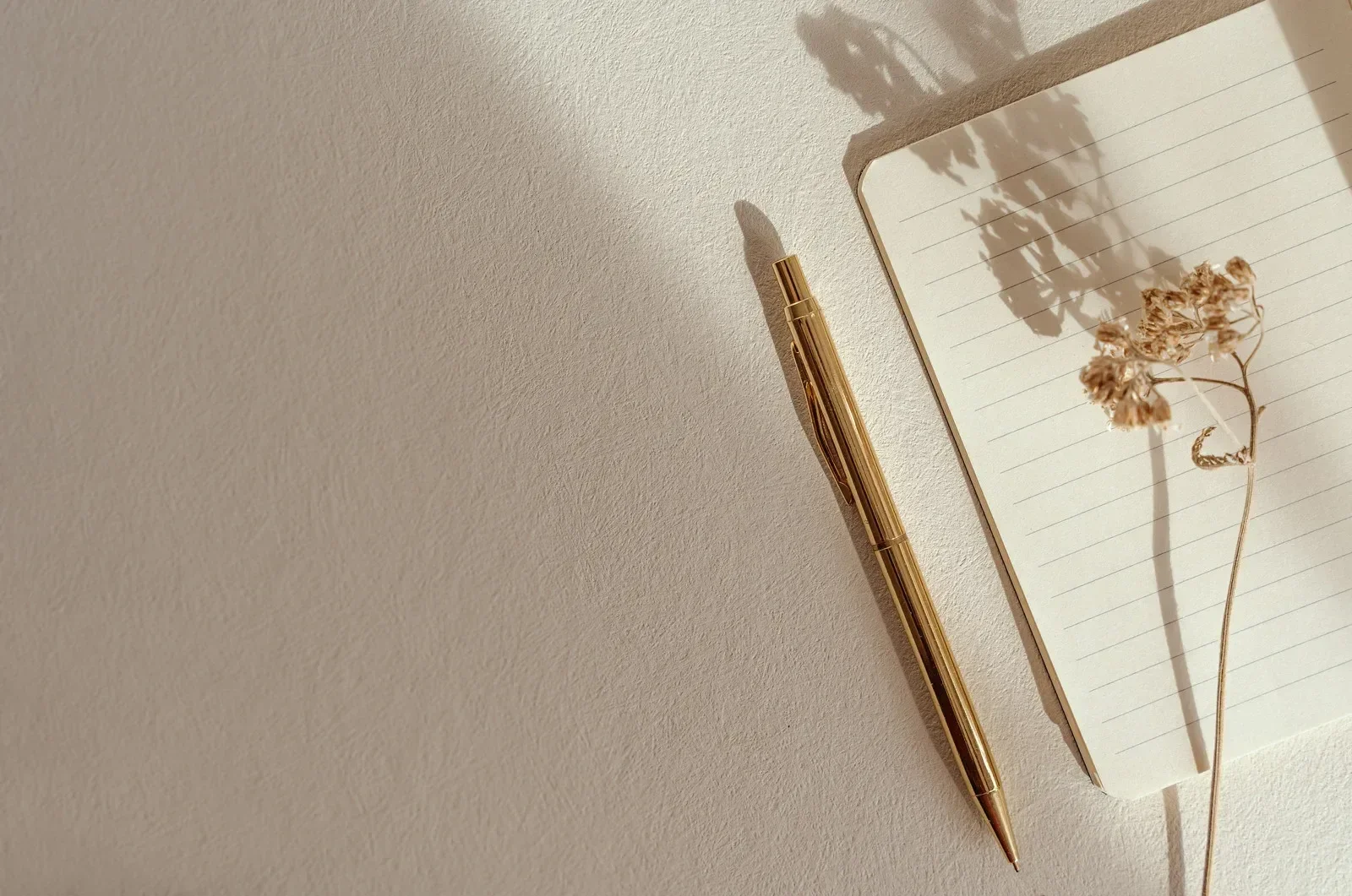 Golden pen next to an open lined notebook on a beige surface. A dried flower casts a shadow on the notebook, creating a calm, minimalist vibe.