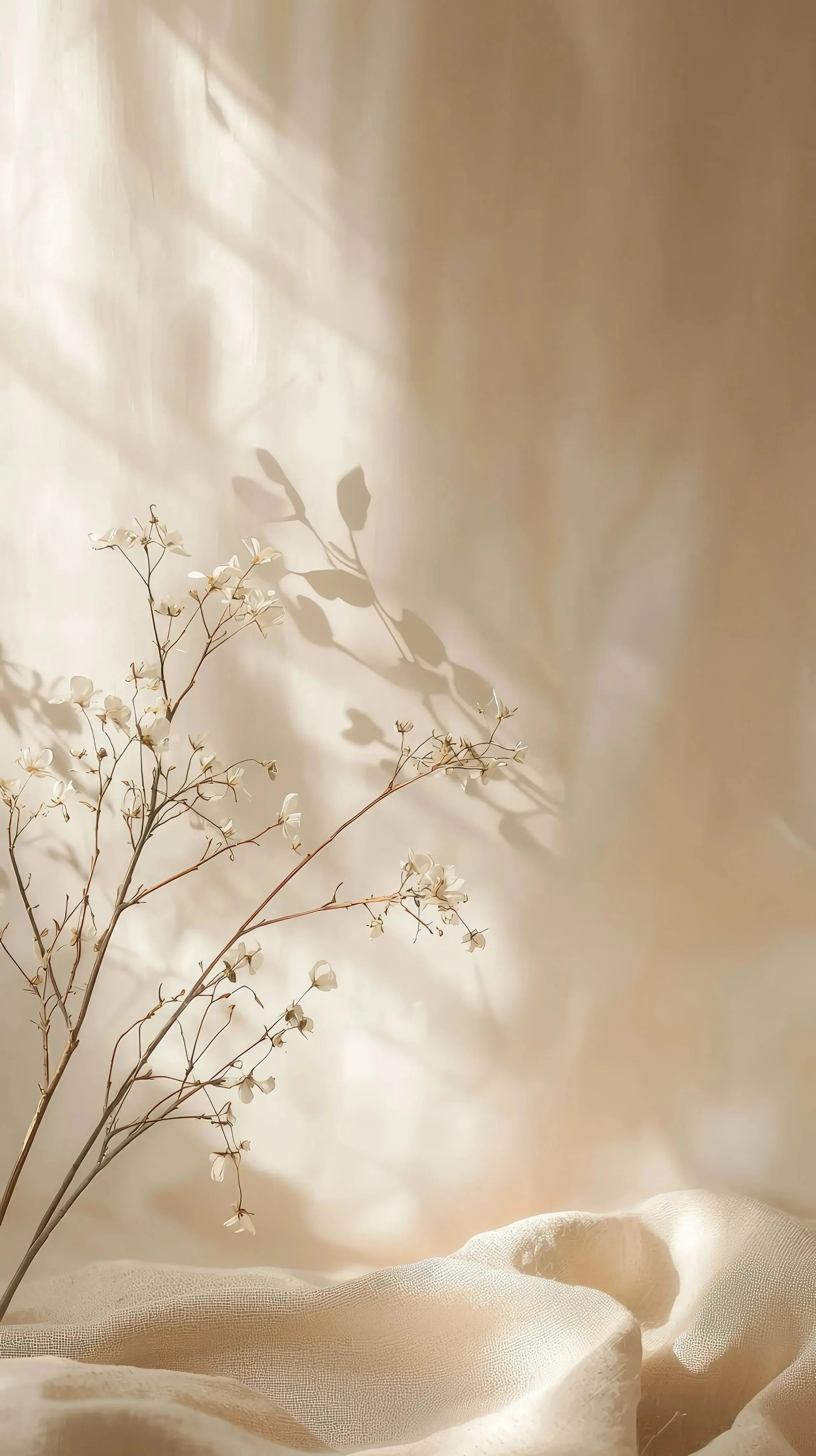 Delicate white flowers on slender stems are set against a soft beige backdrop. Gentle shadows and flowing fabric create a serene, tranquil ambiance.