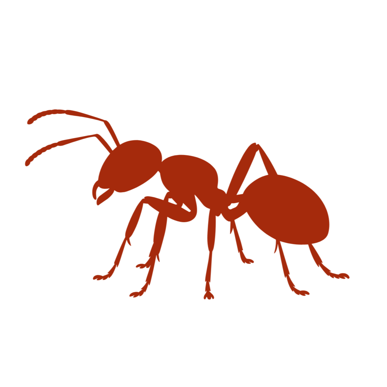 Illustration of a red ant with three segments, six legs, and two antennae against a black background.