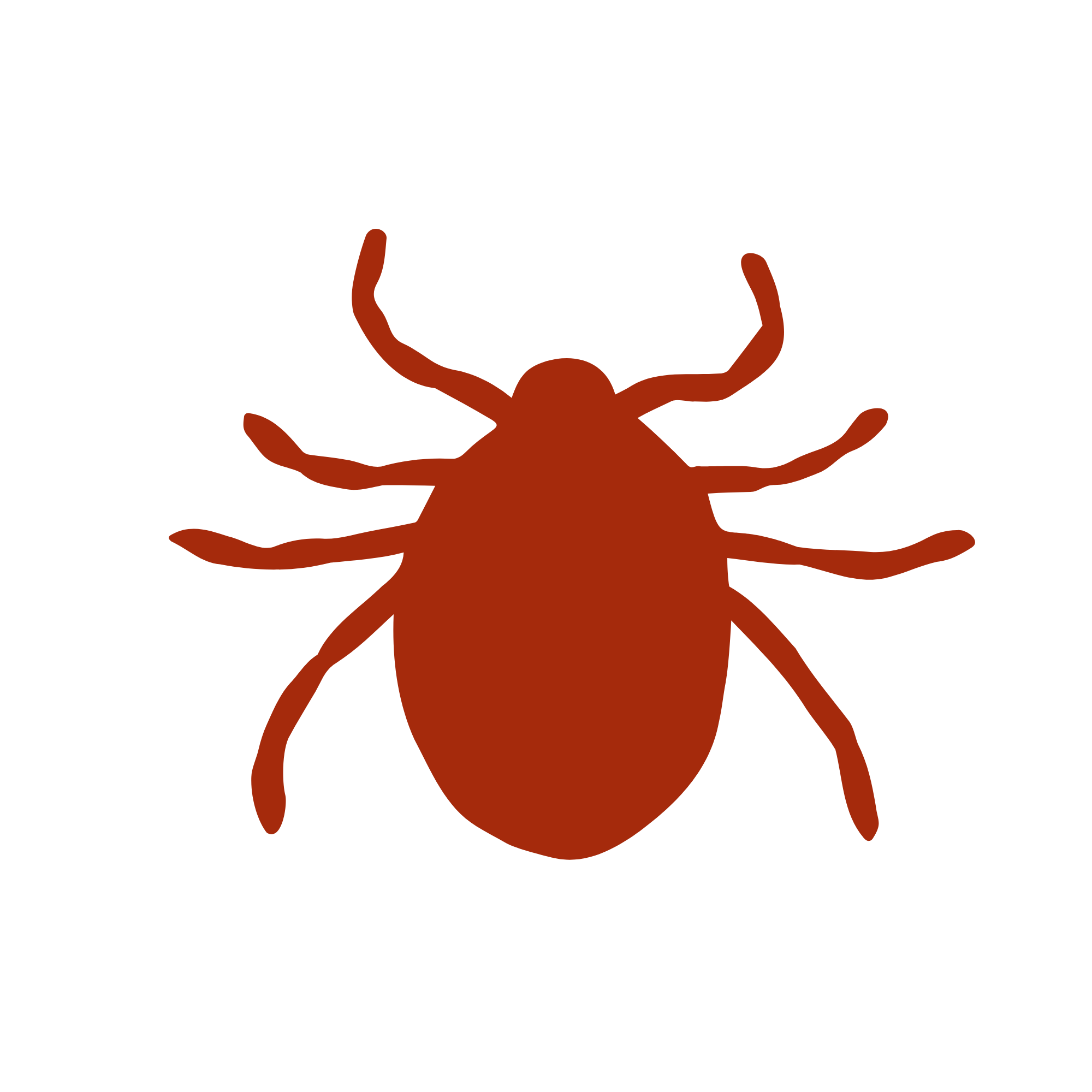 Silhouette of a brown tick insect with eight legs on a black background.