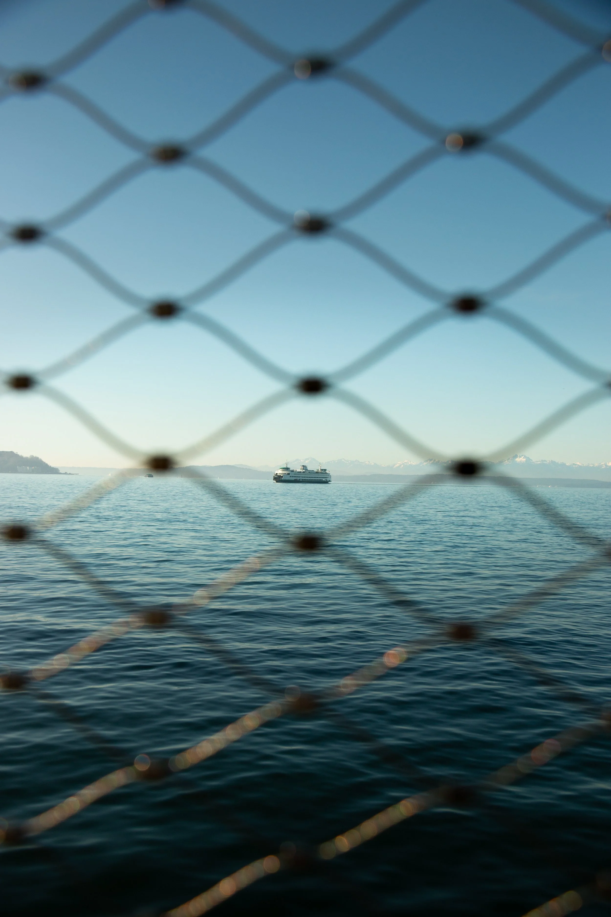 A distant cruise ship seen through a chain-link fence over the water with mountains in the background.