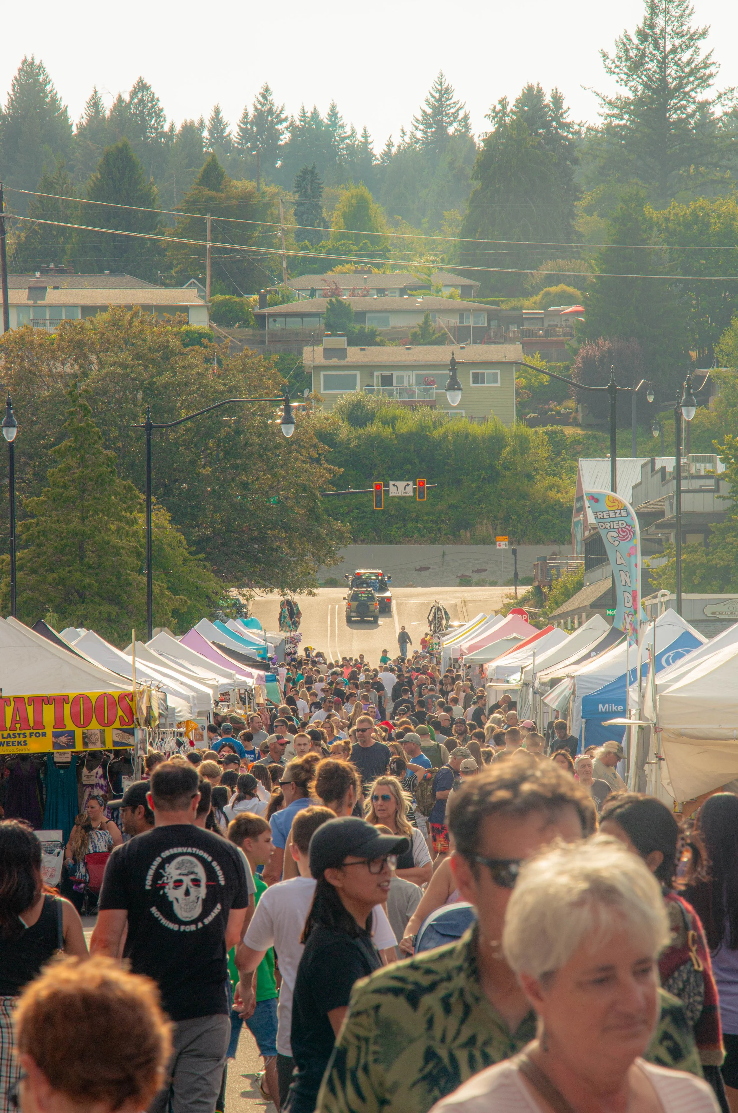 A crowded outdoor street fair with food and vendor tents, with mostly adults and a few children, under clear weather, with houses and trees on a hillside in the background.
