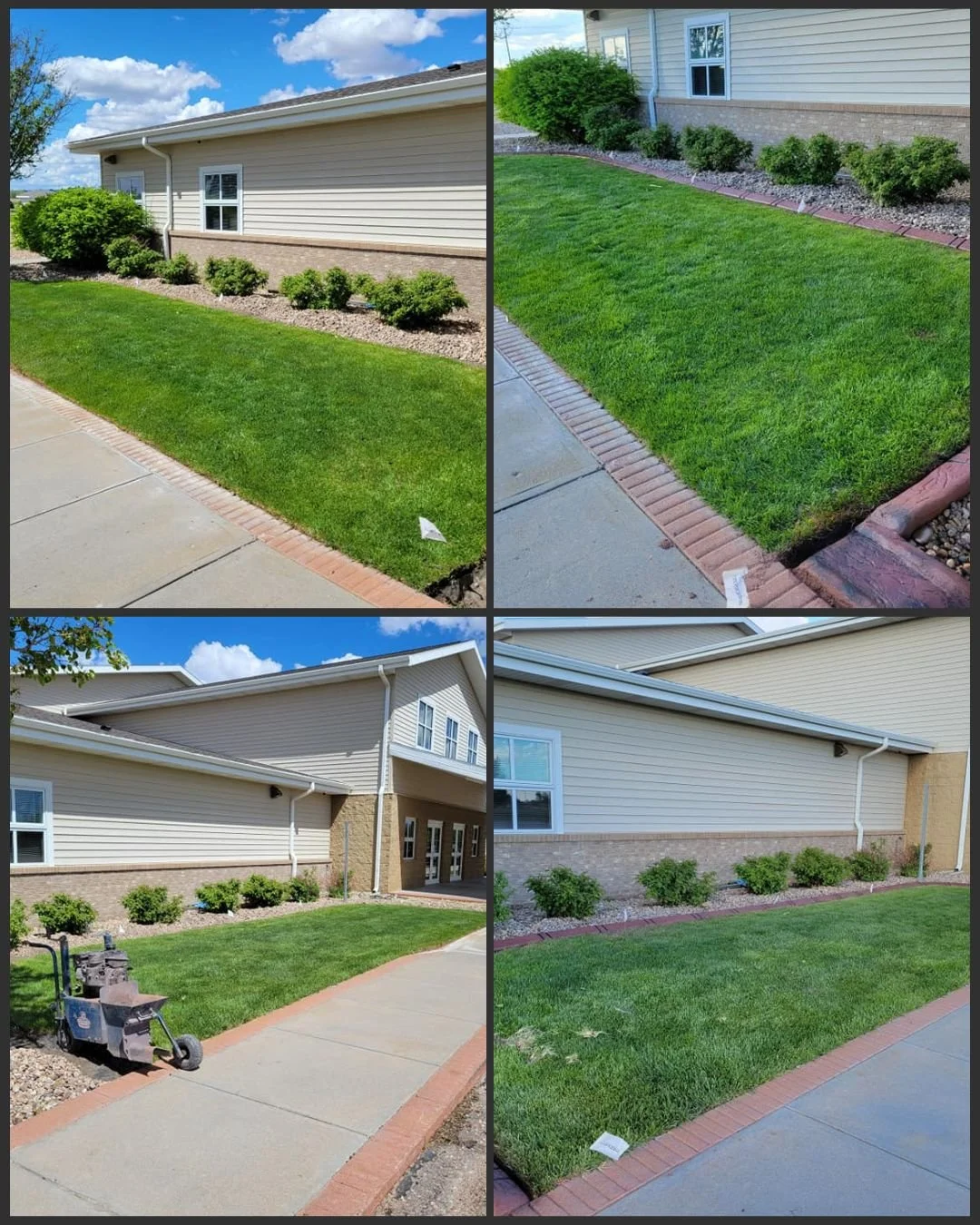 before and after7.jpg