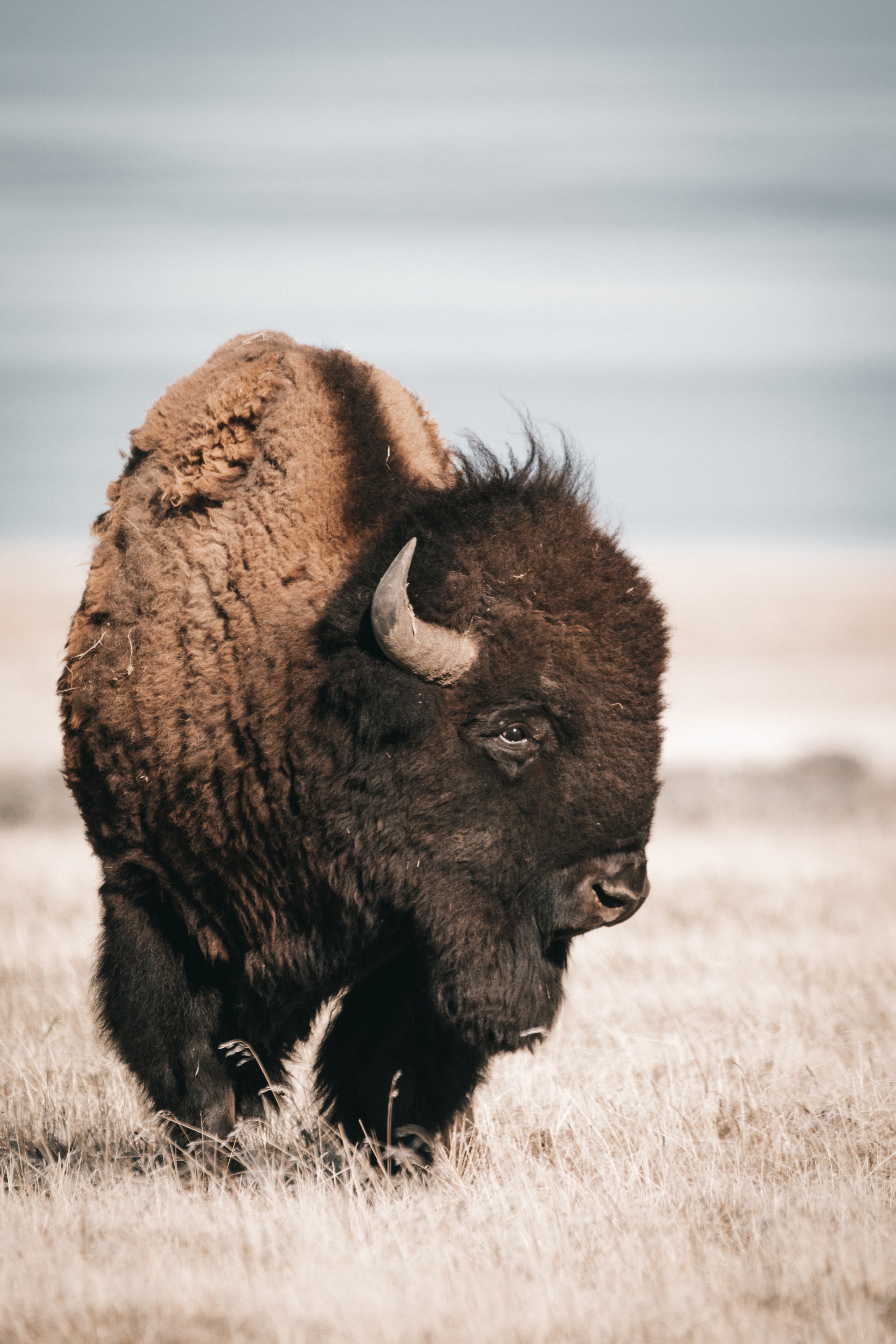 Photography By Kayla Calobeer | Haderlie Designs