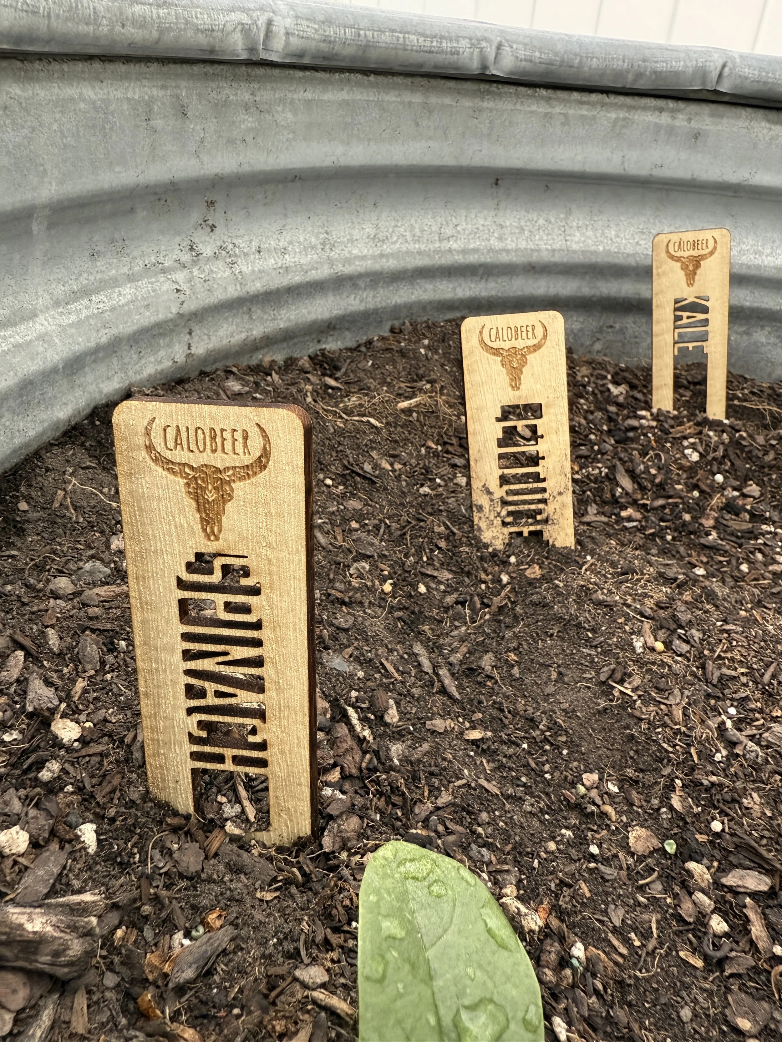 Laser Engraved Cutout Garden Markers by Haderlie Designs