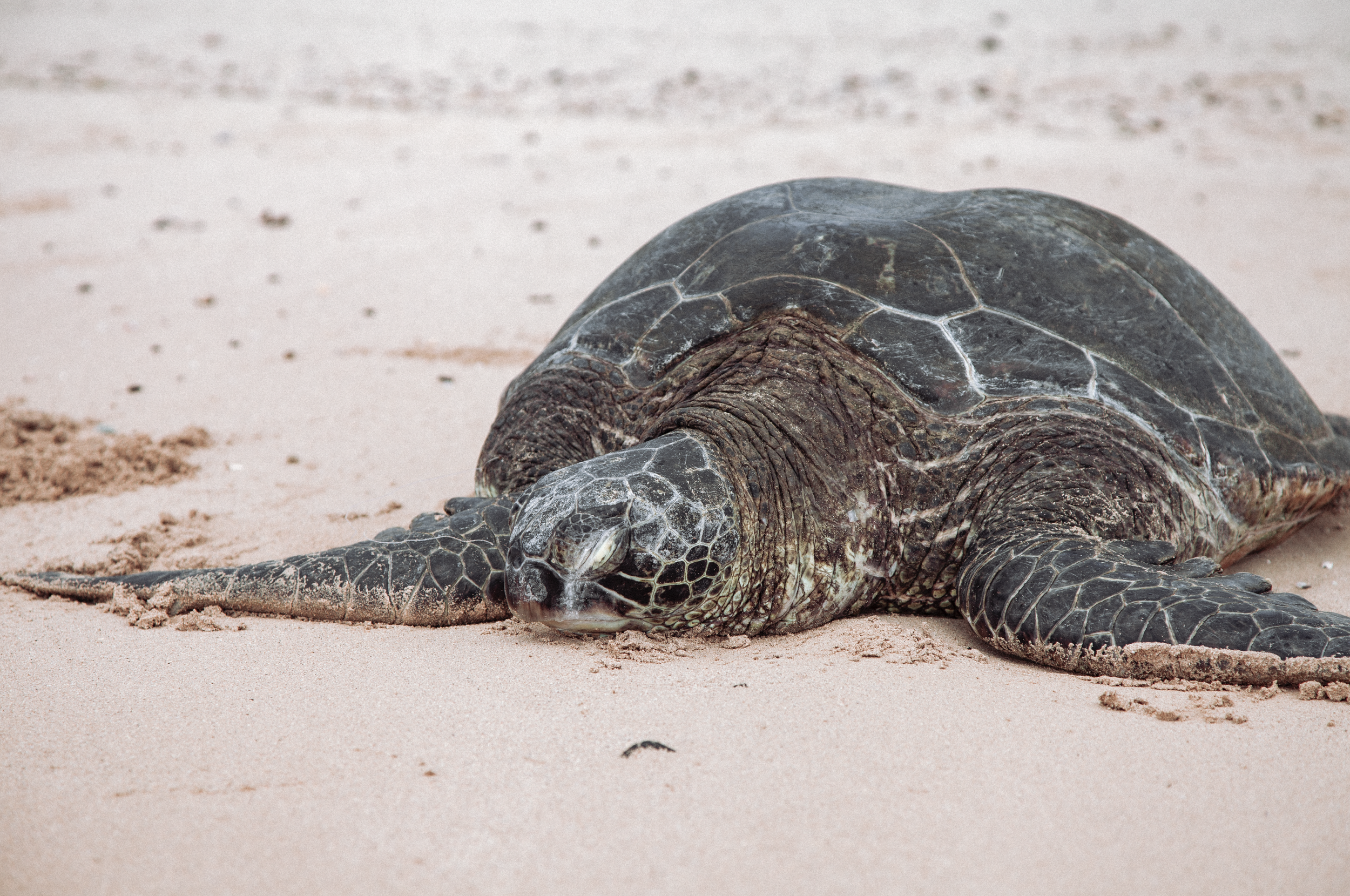 Screenshot 2026-01-25 at 1.53.54 PM.png