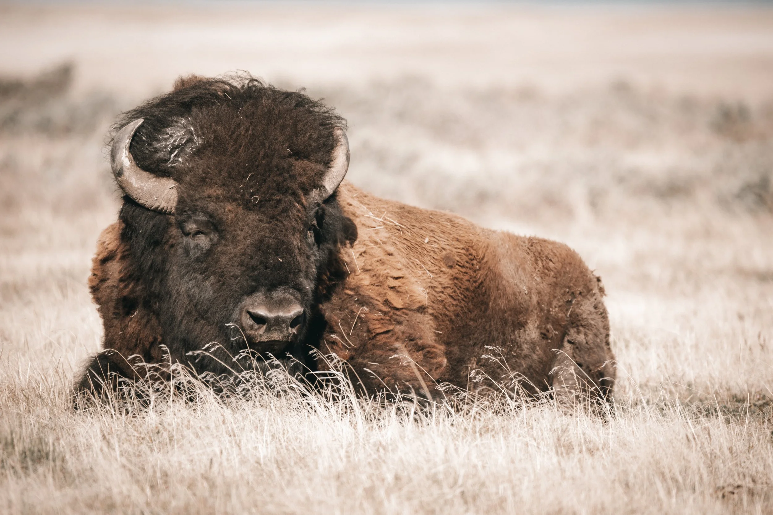 Photography By Kayla Calobeer | Haderlie Designs