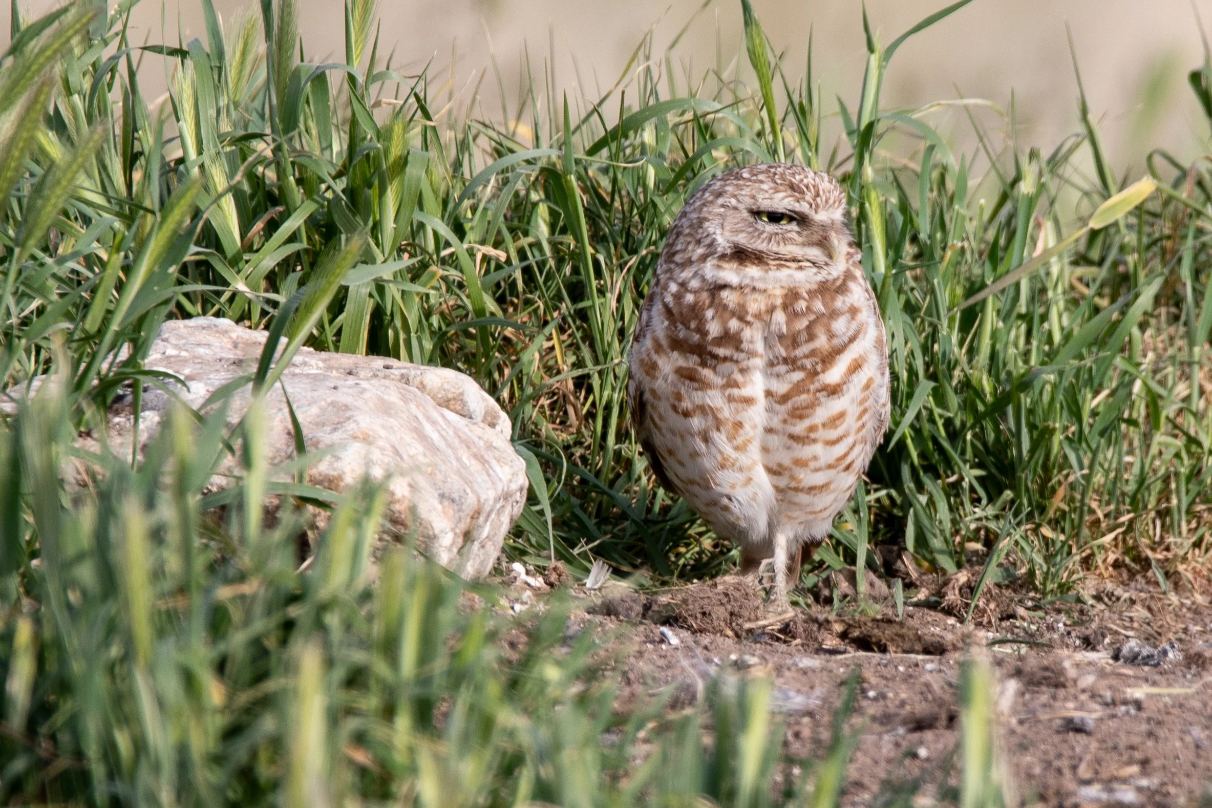 Photography By Kayla Calobeer | Haderlie Designs