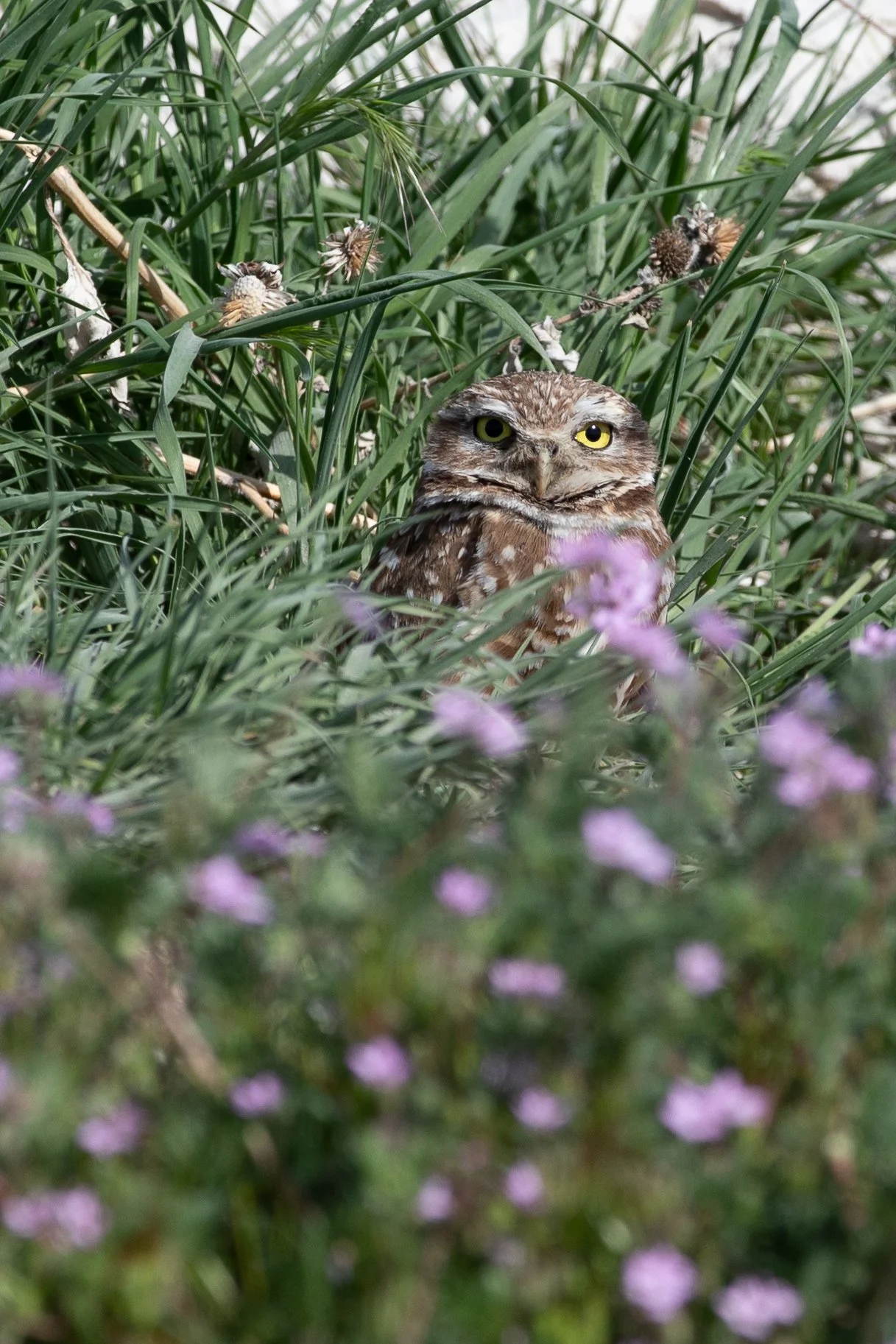 Photography By Kayla Calobeer | Haderlie Designs